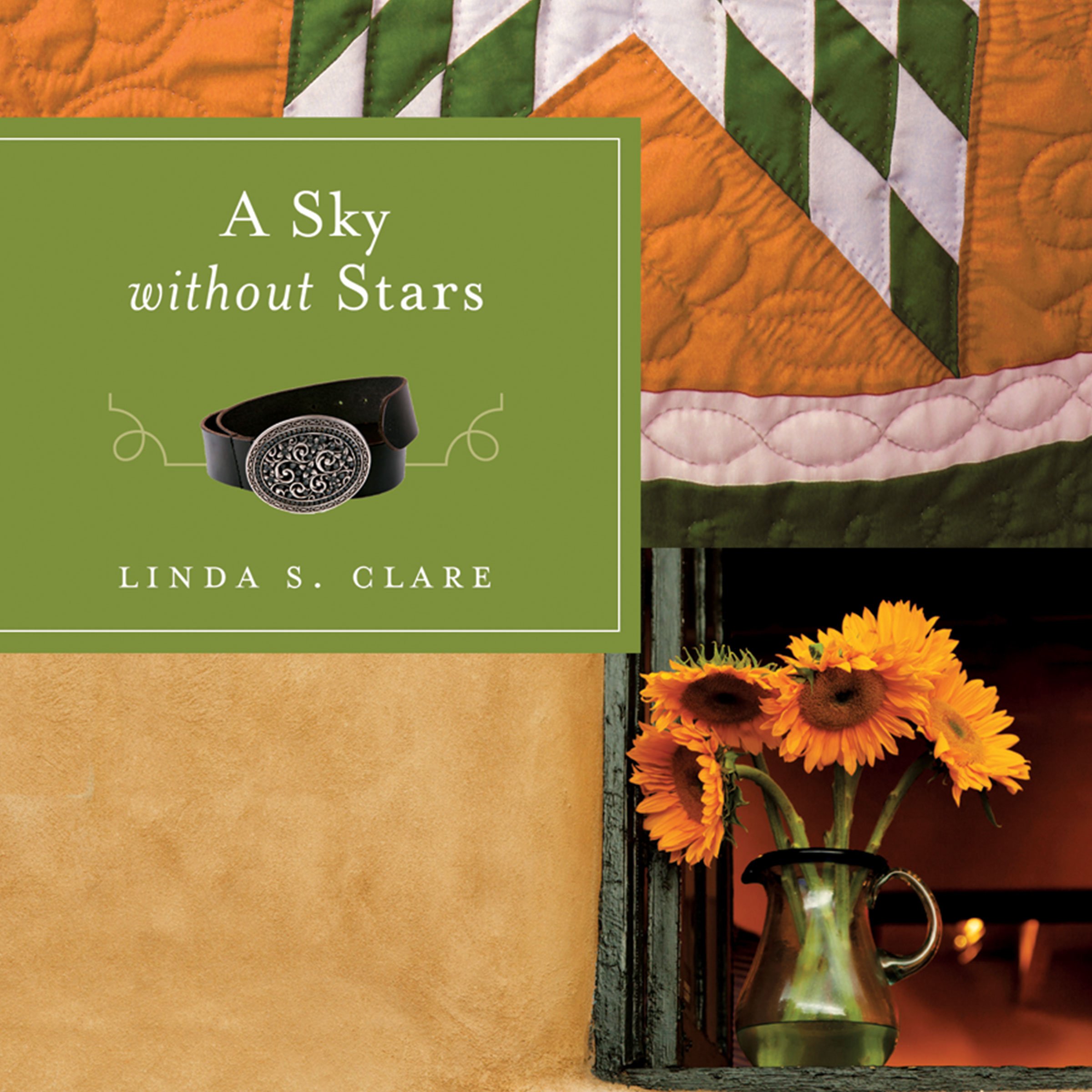 Cover art for A Sky Without Stars