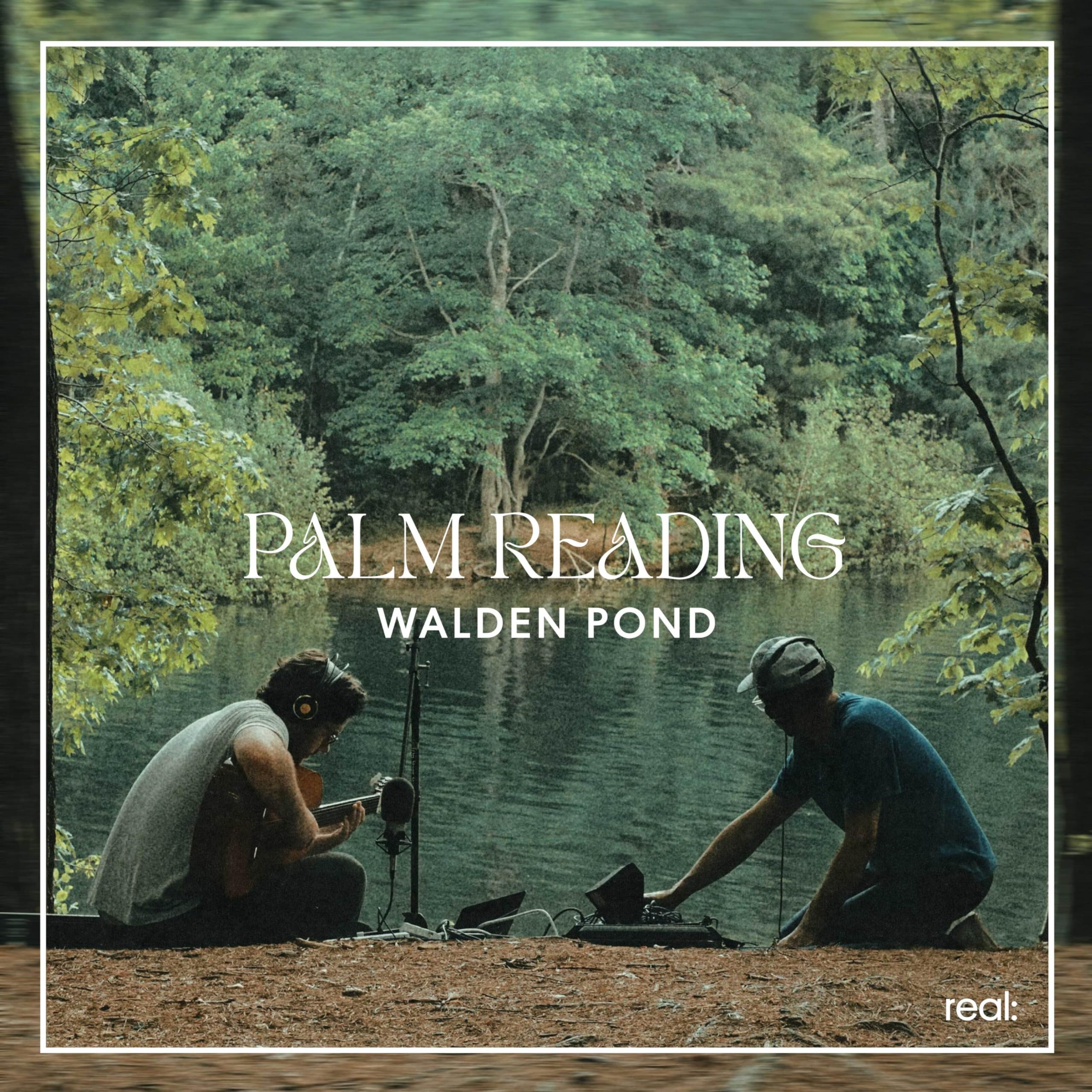 Palm Reading