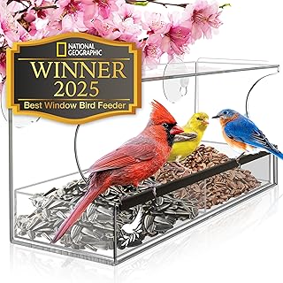 10 Animal Crossing Gazebo Ideas for Cute Garden Inspiration 52 Window Bird Feeder by Nature's Hangout - Award-Winning Transparent Acryl...