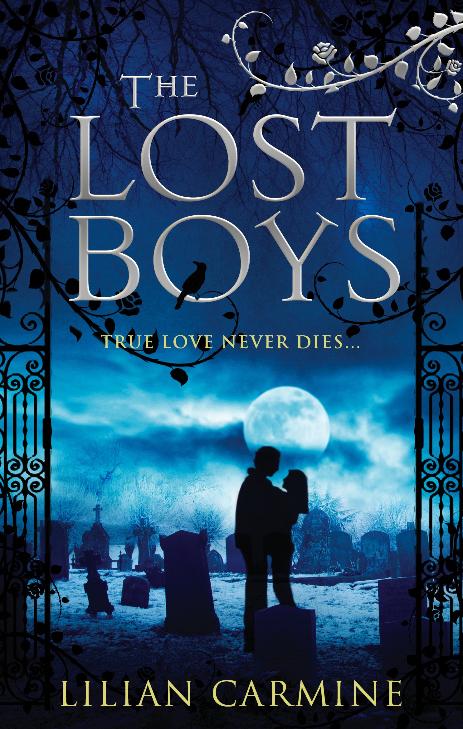 The Lost Boys: Amazon.co.uk: Carmine, Lilian: 9780091953416: Books