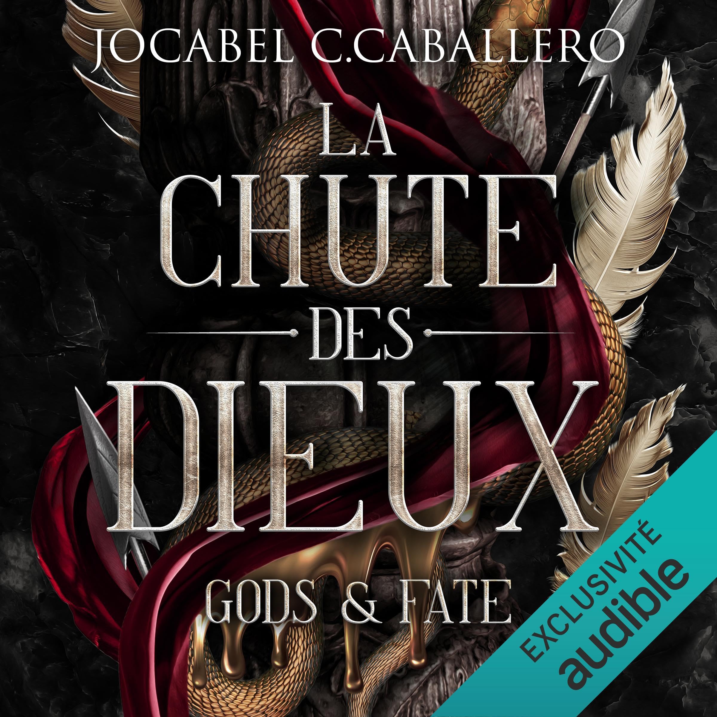 Cover art for La chute des dieux
