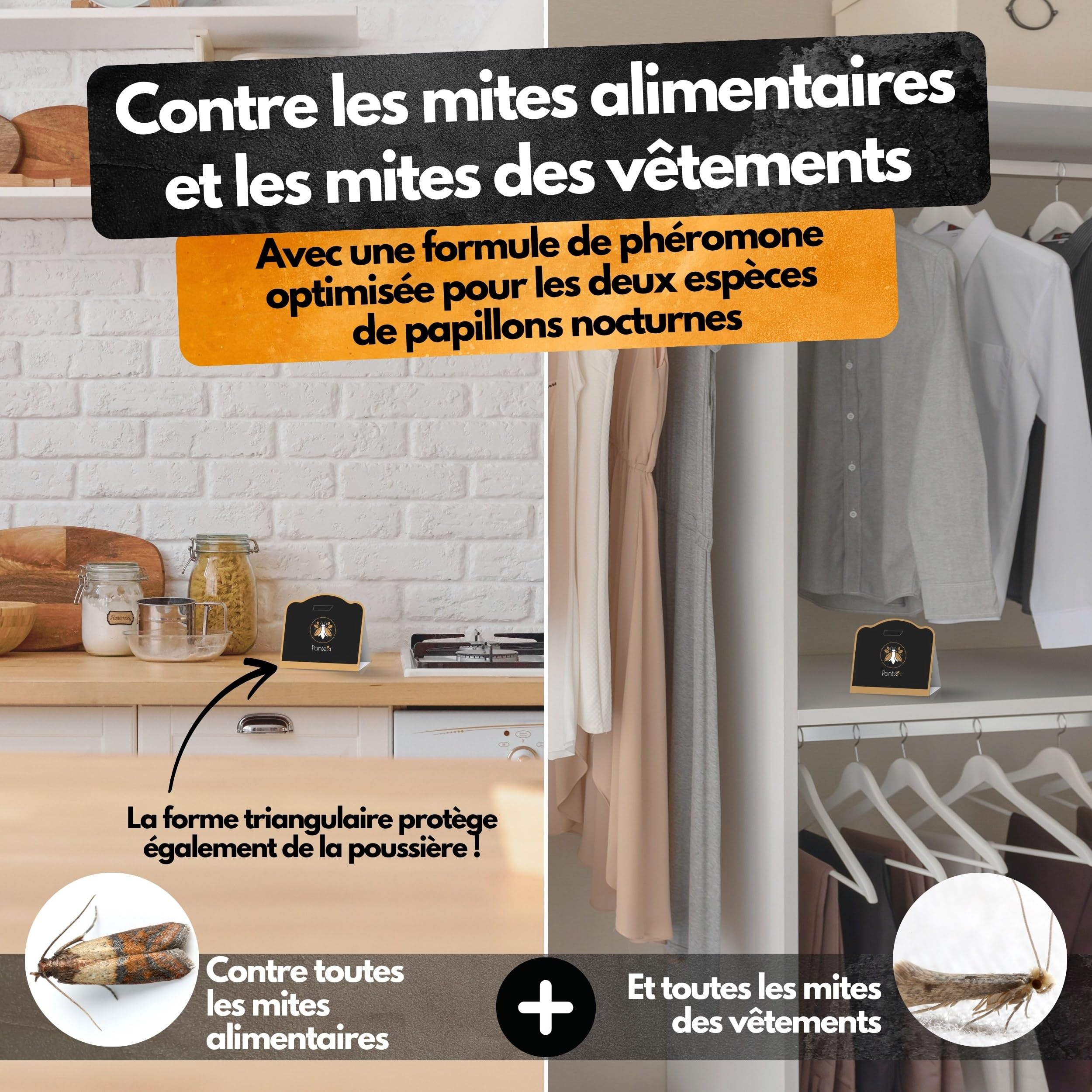 Panteer Lot de 6 pièges à Mites Contre 2 Types de Mites pour Garde-Robe et Alimentaires