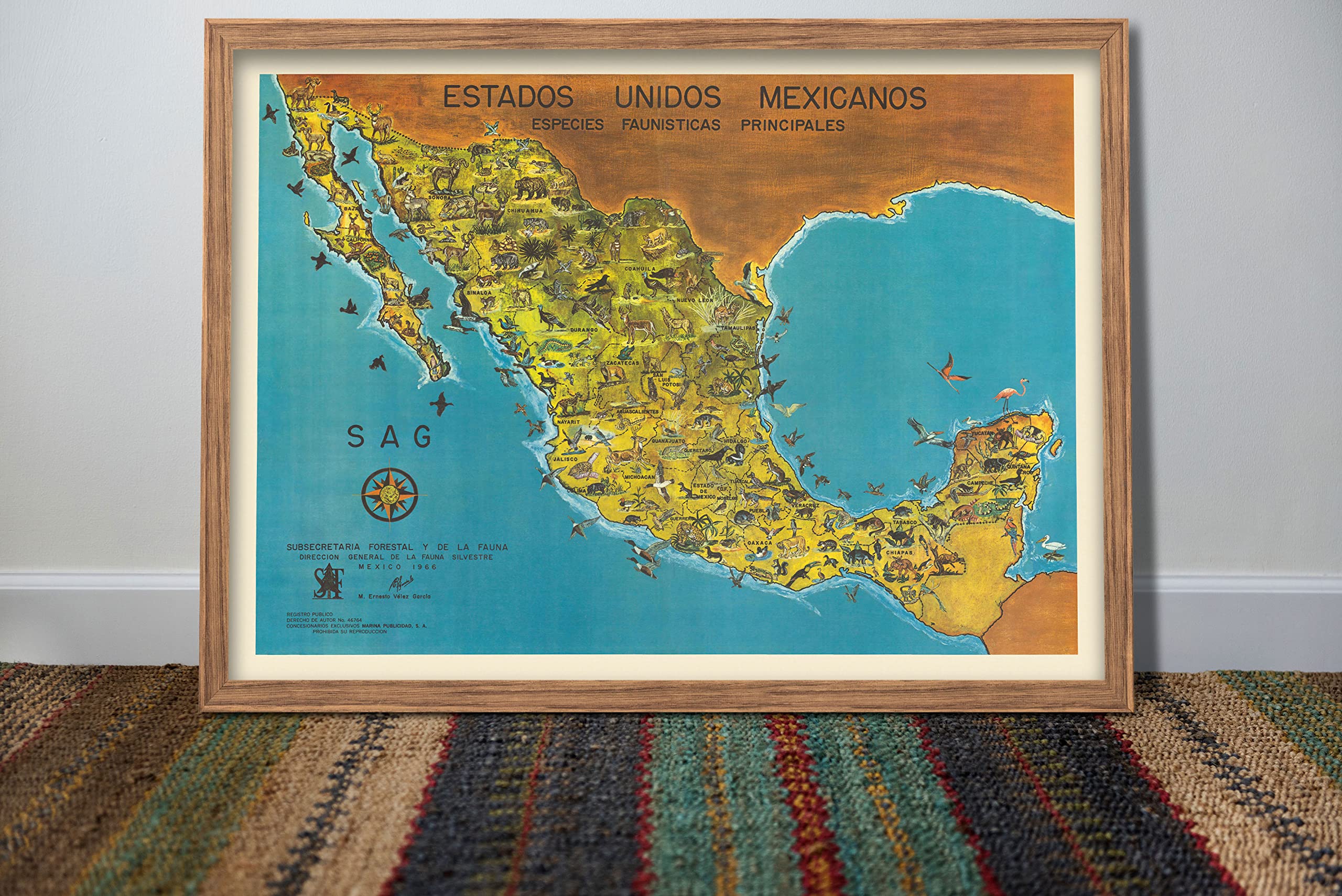 Amazon.com: Pictorial Map of the United Mexican States circa 1966