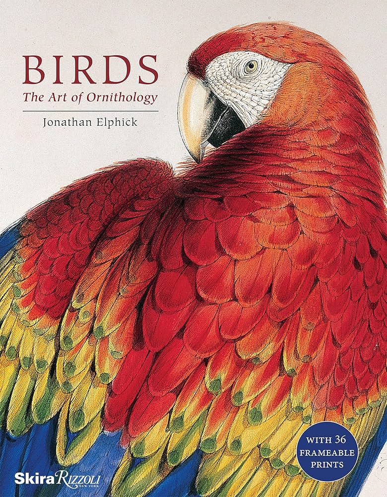 Birds : The Art of Ornithology　絶滅鳥 Birds: The Art of Ornithology: Elphick, Jonathan
