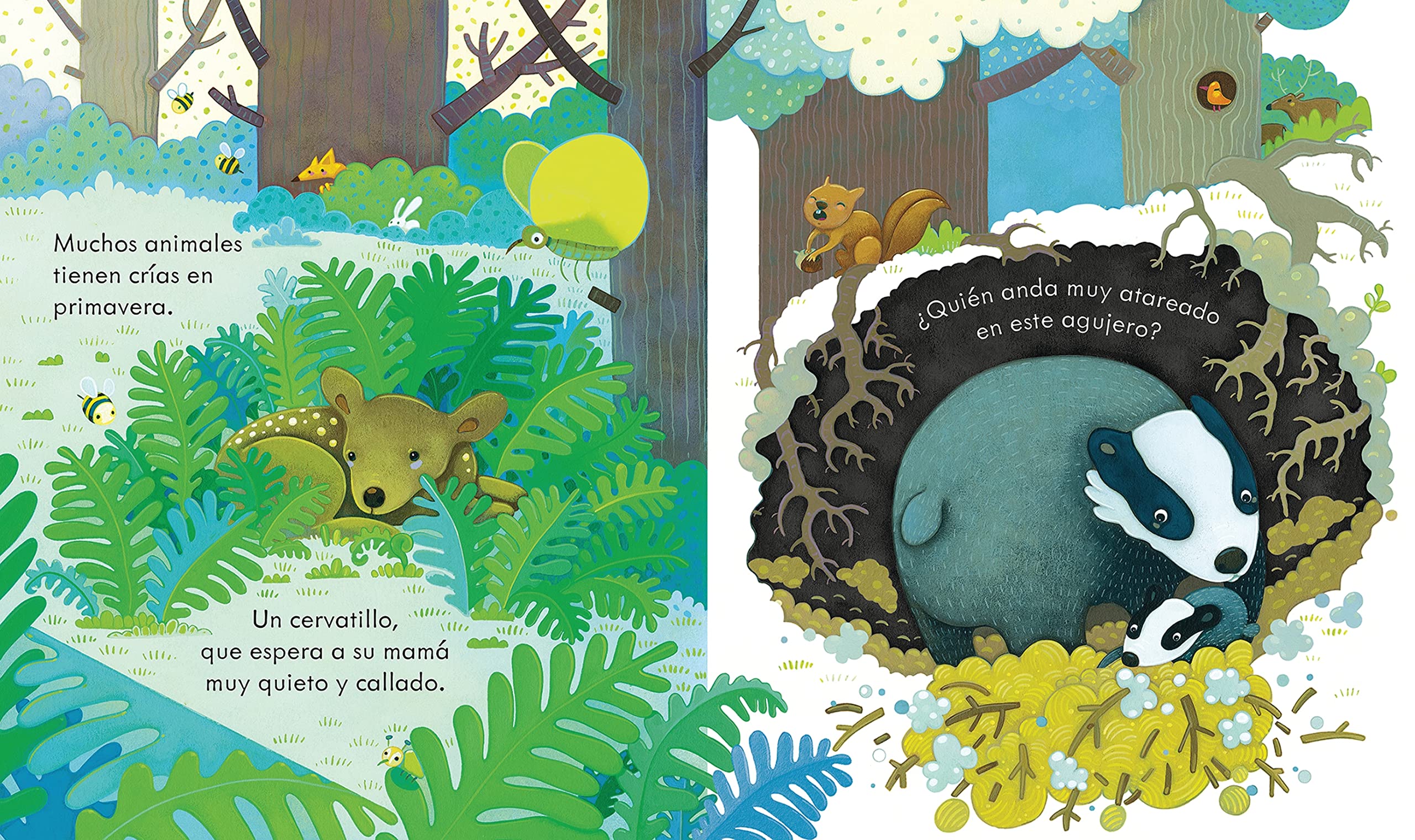 UN BOSQUE (A ver, a ver)