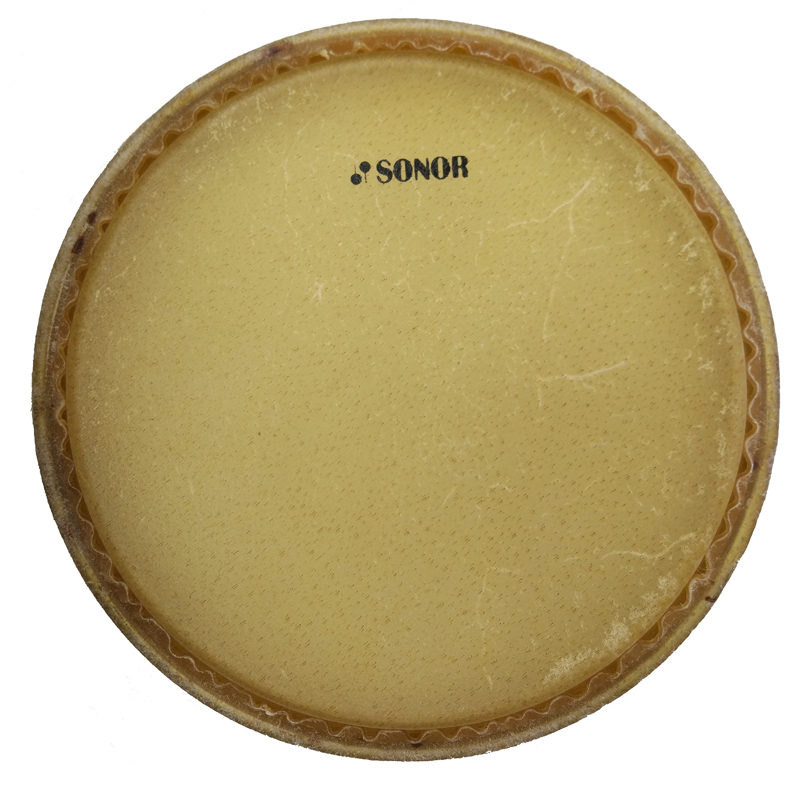 Amazon | SONOR ソナー コンガ・ヘッド 11.75インチ SN-CFH1175 【国内