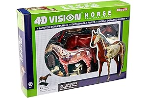 Tedco 4D Vision Horse Model: An Immersive Equestrian Experience