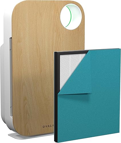 OVAL AIR AIR1000C - Purificador de aire H13 True HEPA 5 en 1 de 3 etapas para alérgenos, polvo, mascotas, alergias, olor, humo, polen, habitaciones