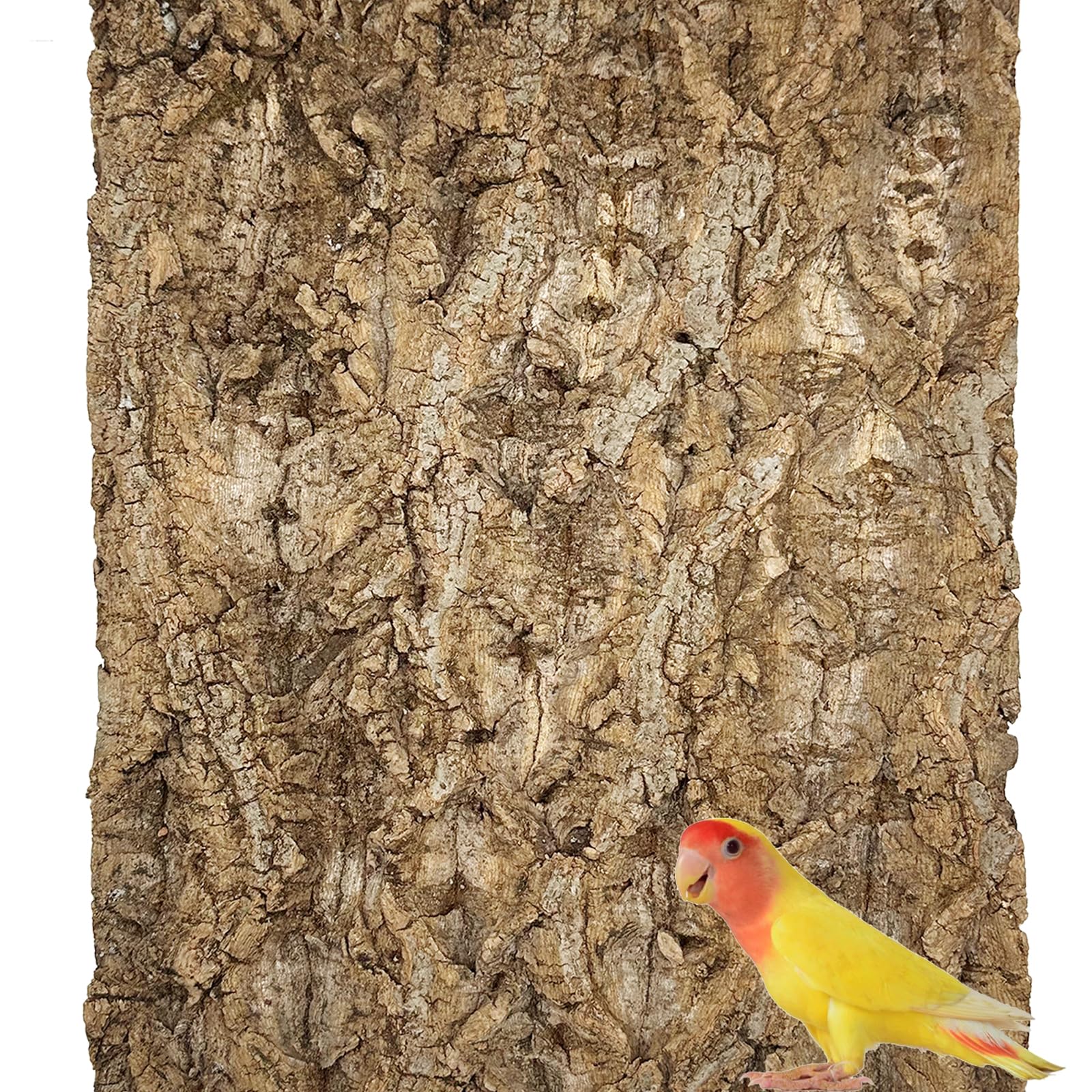 Placche In Corteccia Di Sughero Per Terrario - Sfondo Naturale Per Rettili E Gechi - Foto 11