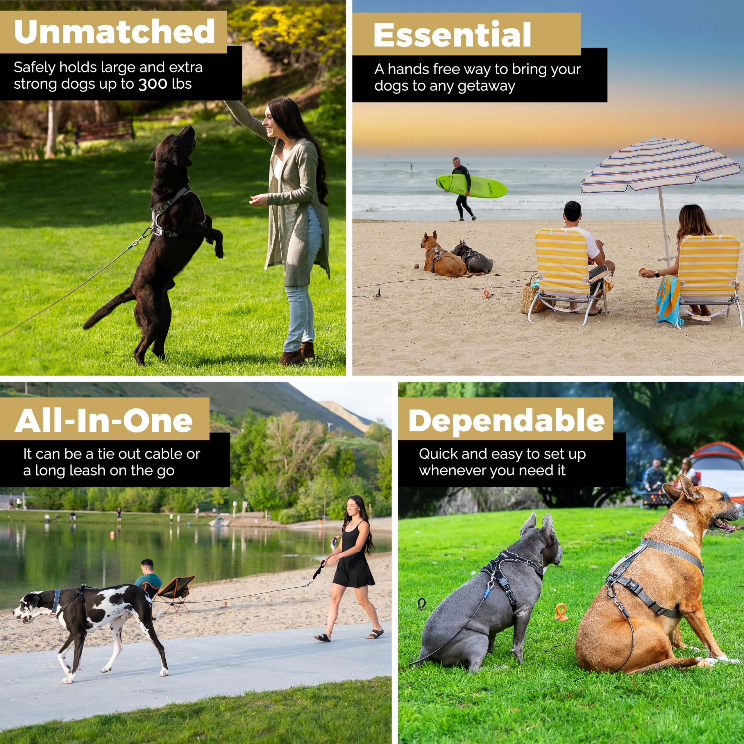 ROYAL PAW Dog Tie Out Cable - Tie Out Cable for Dogs (up to 300 lbs) - Use Dog Tie-Outs & Stakes for Outside - Best Heavy Duty Dog Leash for Large Dogs (20ft - Royal Orange)