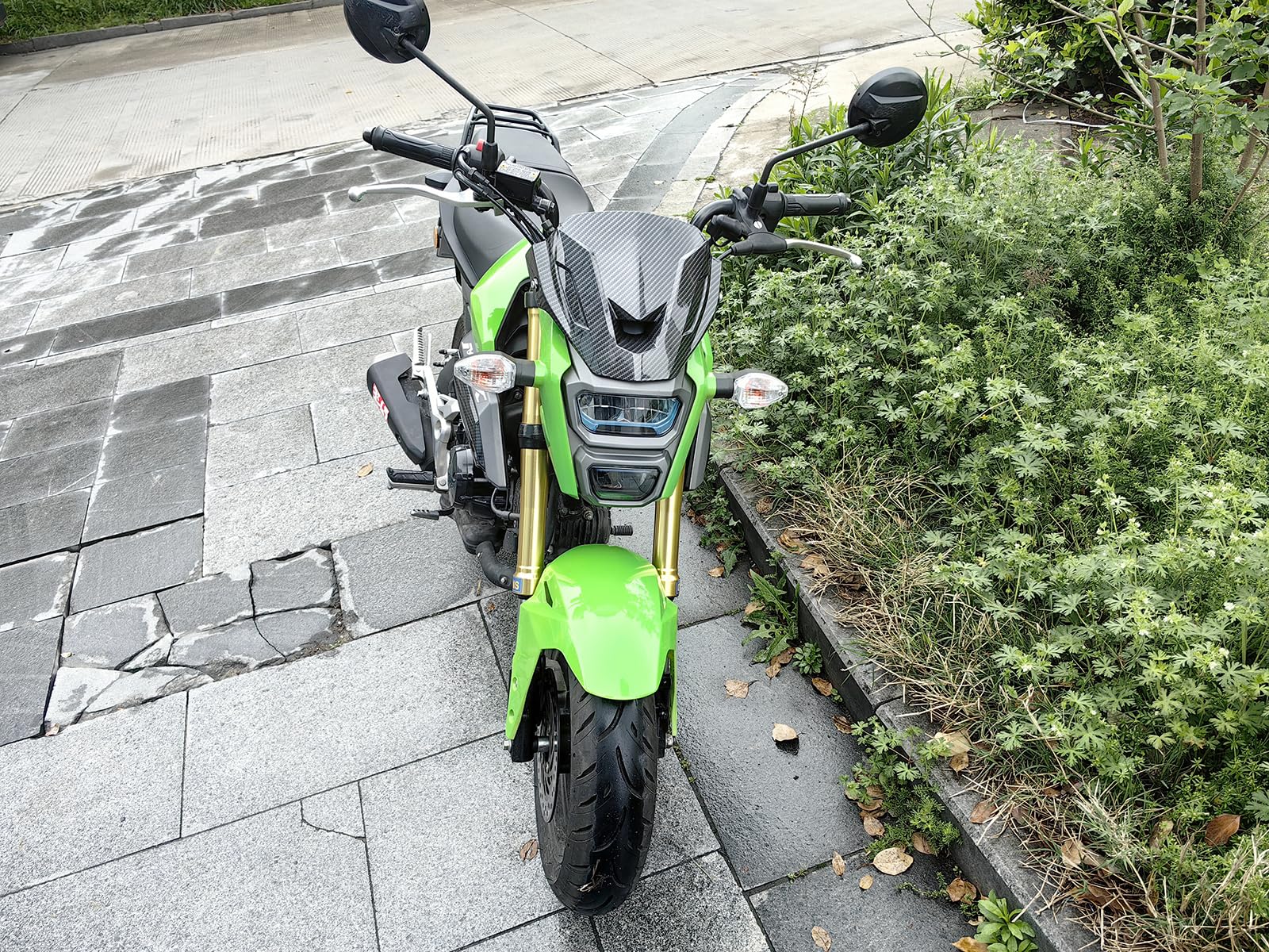 Amazon.com: Minho Motorcycle Carbon Fiber Windshield Fit for Honda 