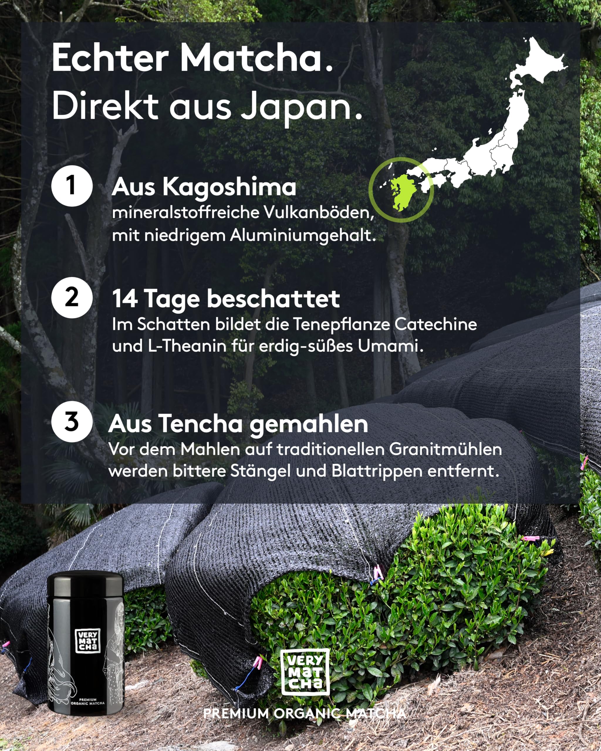 Bio Matcha BARISTA 30g im Violettglas – Echtes japanisches Matchapulver für Matcha Latte und Usucha – Premium Qualität