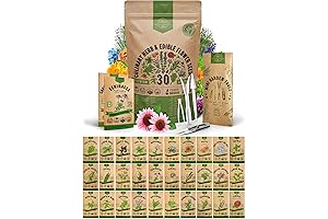 Organo Republic Culinary Herb Seeds