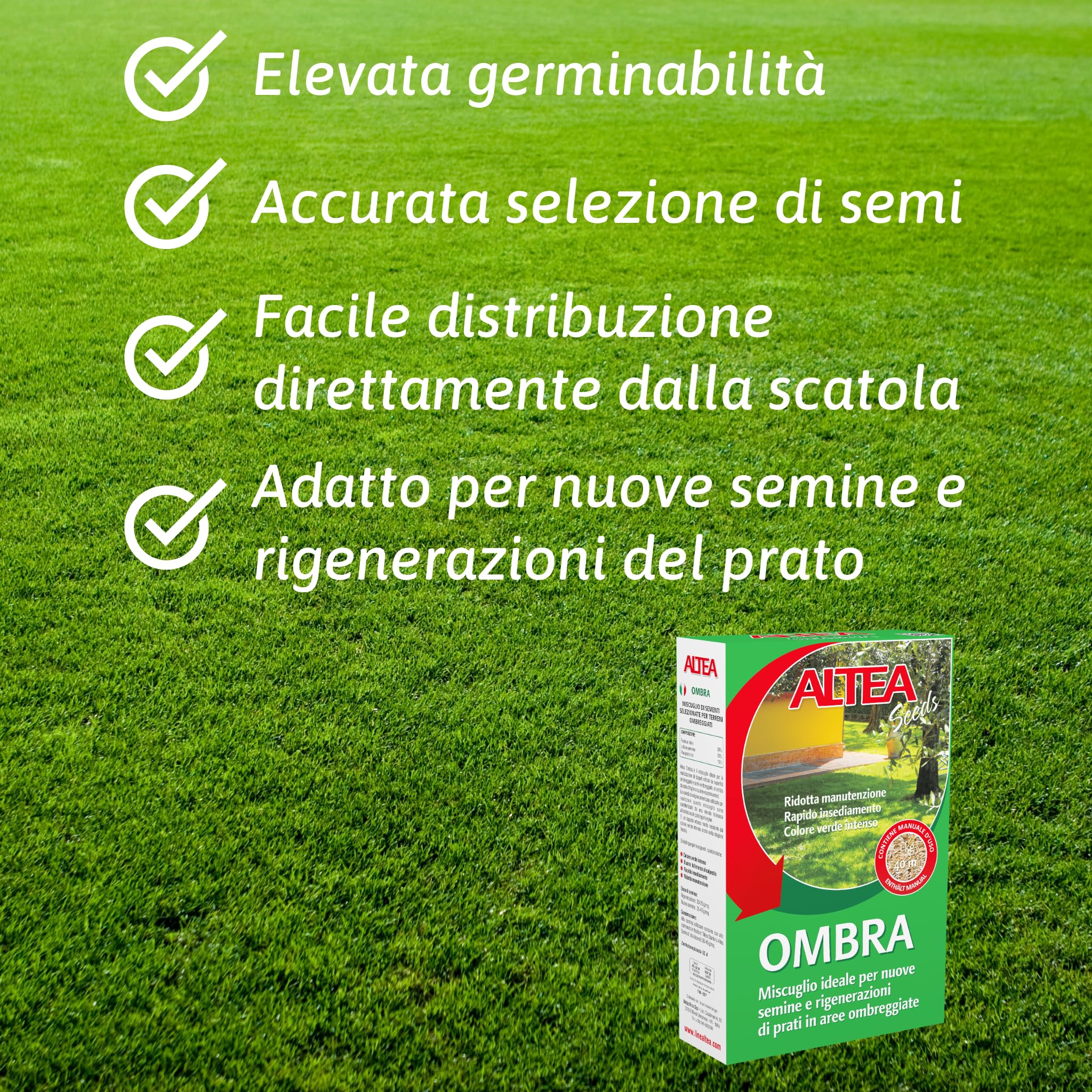 Tecnokit Semi Per Prato Ombreggiato, Miscuglio Resistente Per Aree Con Poca Luce, Semi Prato Crescita Rapida e Uniforme, Sementi Per Prato Rigogliose, Confezione 1kg - 40mq