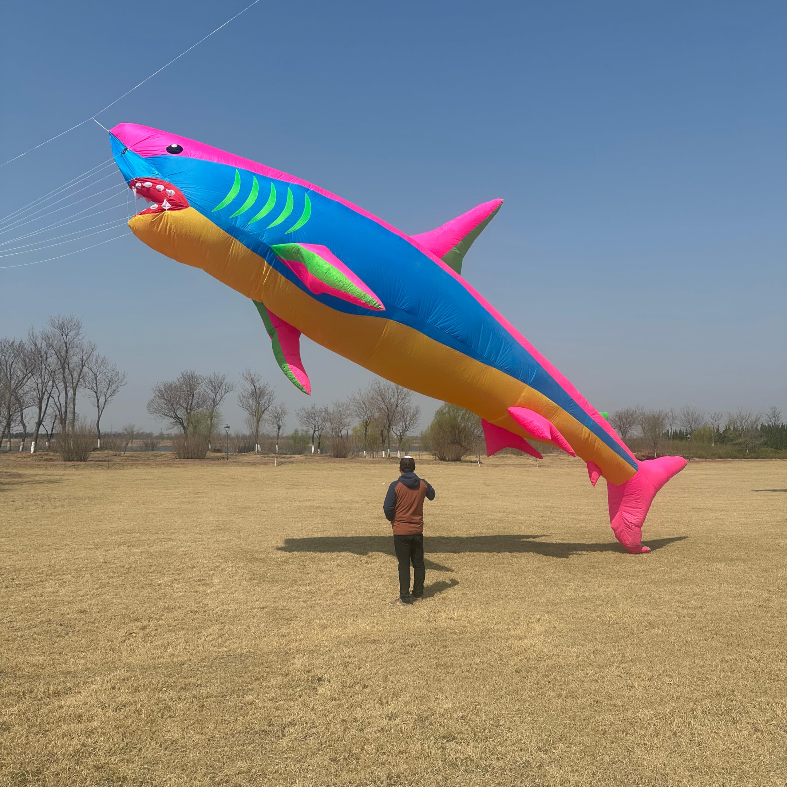 40 Ft 3D Soft Inflatable Shark Kite Pendant Large Animal Kite Pendant Outdoor Sports Easy Flying (Pink Blue)