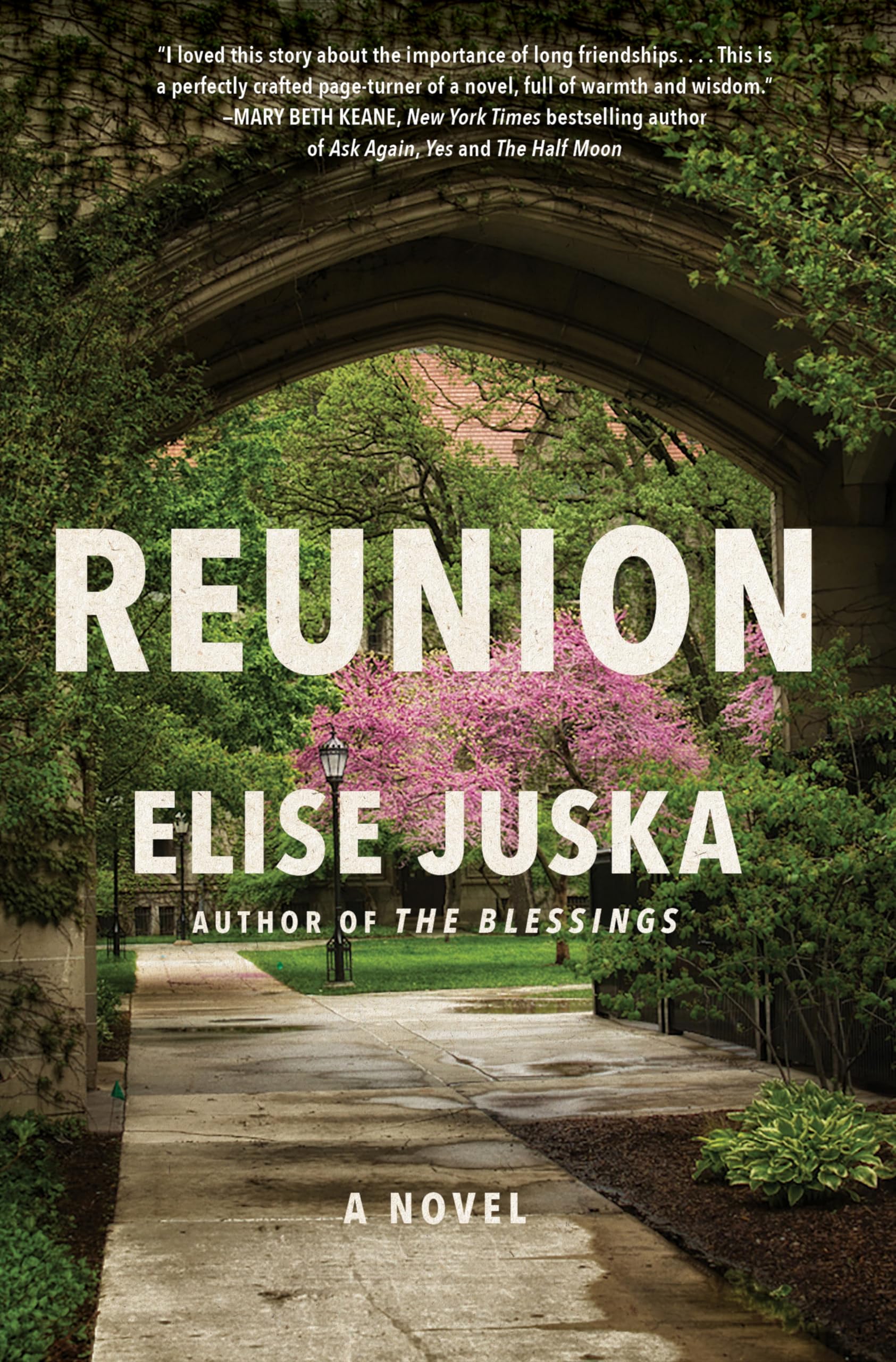 Reunion: A Novel.by Juska, Juska,  New 9780063346789 Fast Free Shipping**