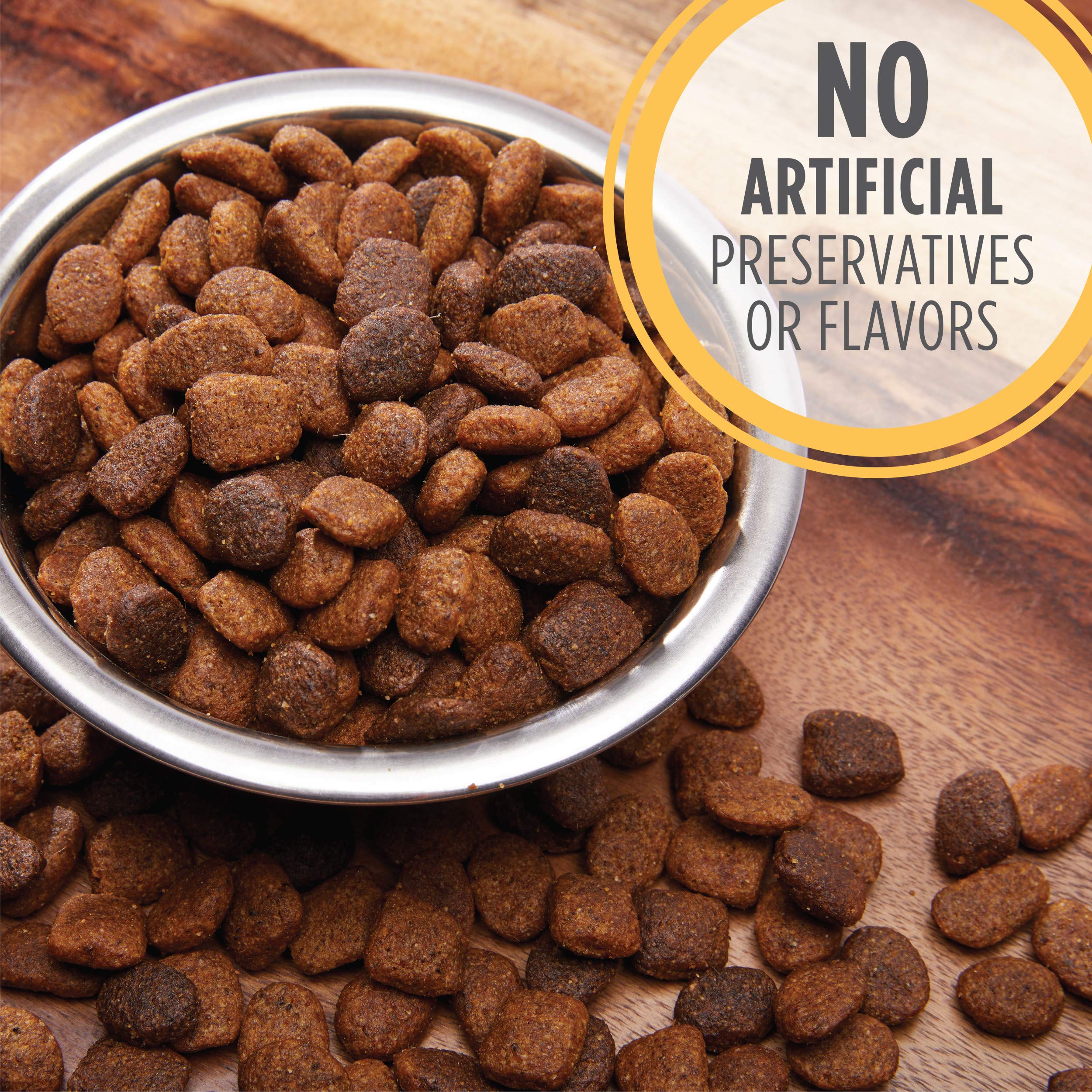 IAMS Smart Puppy Large Breed Dry Dog Food with Real Chicken 15 lb. Bag