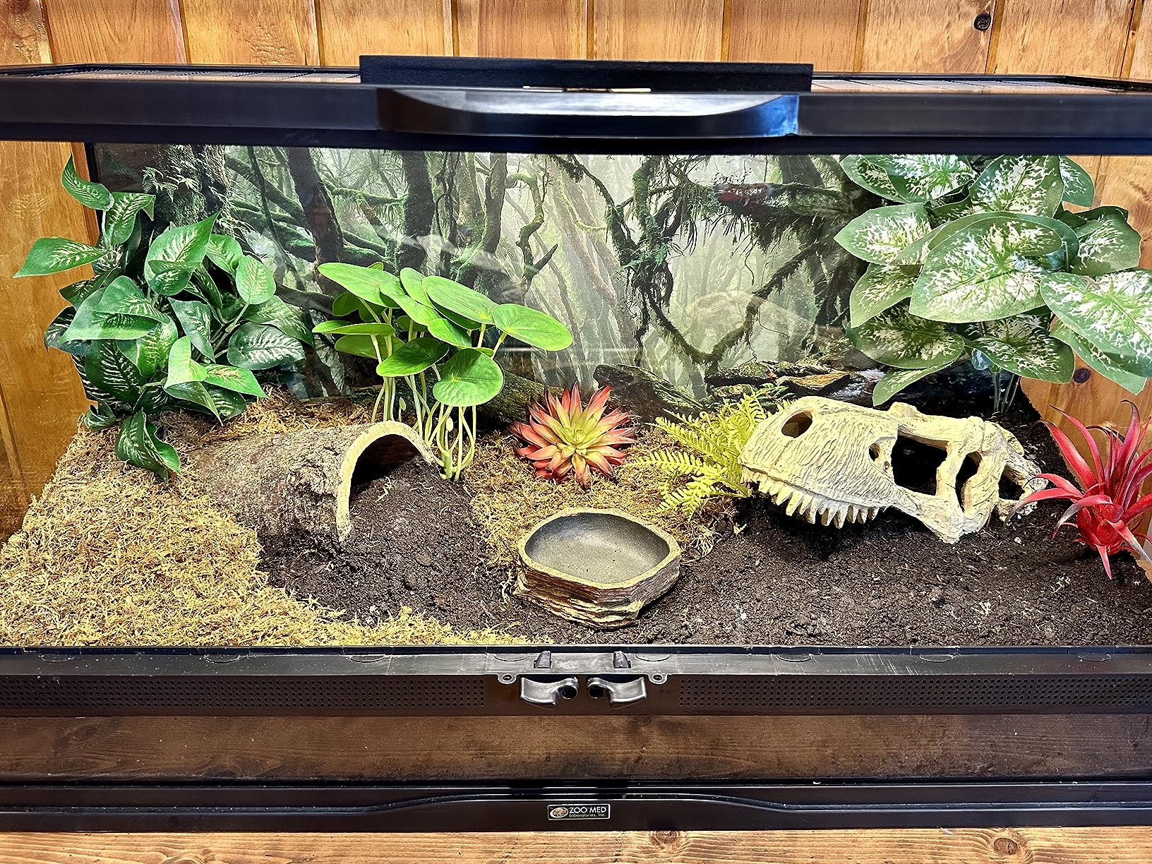 Forest Terrarium Background 48x18 Inches – Realistic Rainforest Aquarium Backdrop