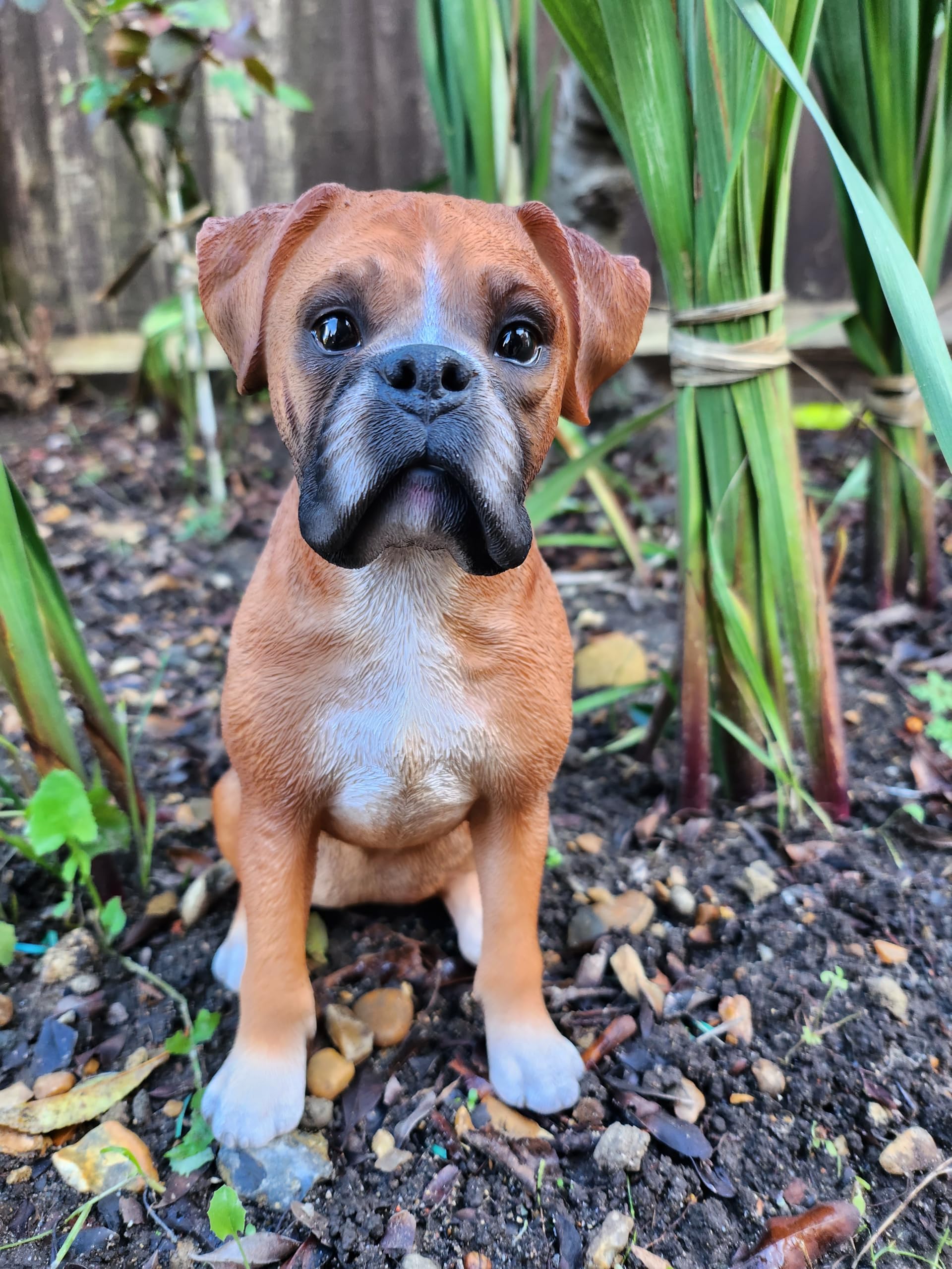 Vivid Arts Real Life Boxer Dog (Small)