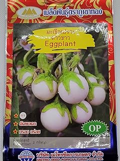 Small Round White Eggplant Seeds
