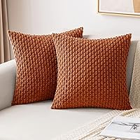 Vista 51 de MIULEE - Juego de 2 fundas decorativas para cojines, de pana suave y con estilo campestre y bohemio a rayas, para decorar hogar, sofá, cama, sala