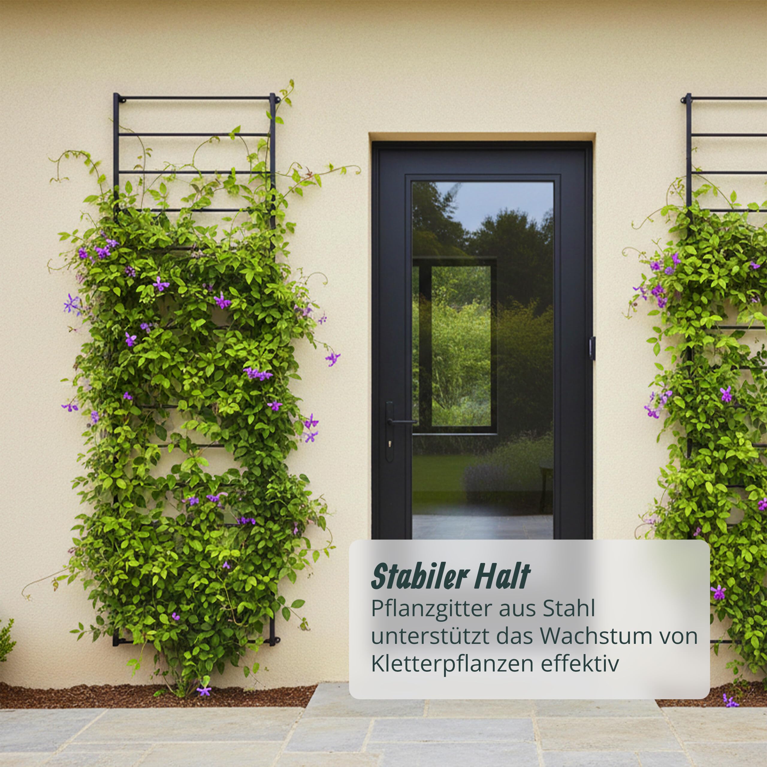 Relaxdays Rankgitter, 2er Set, Wandgitter HxB: 210 x 76 cm, Kletterpflanzen Rankhilfe, Wandbefestigung, Stahl, schwarz