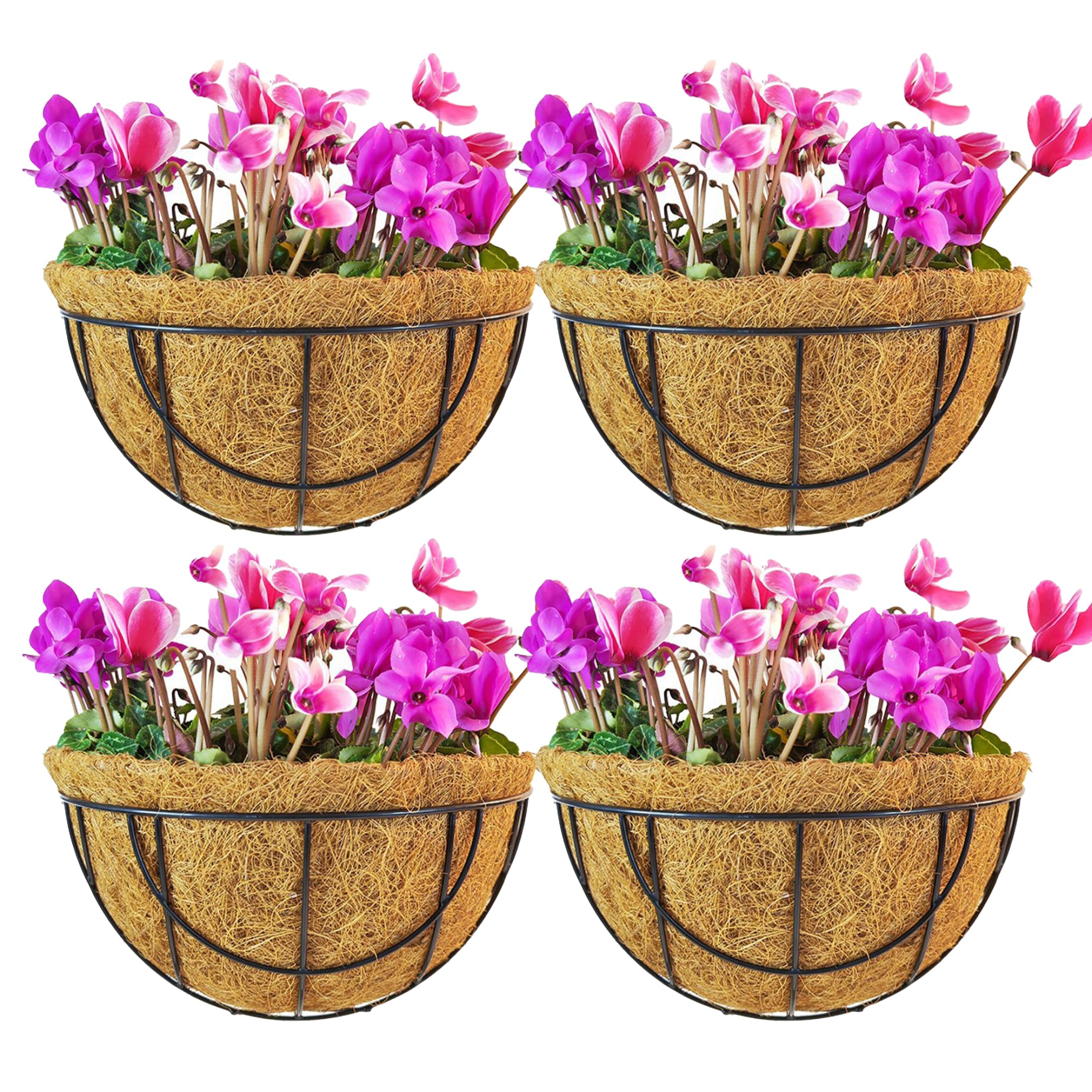 Striegro 4 Pack Hanging Plant Basket, 12 Inch Wall Planter Outdoor with Coir Liner Metal Wire Hanging Baskets for Railing Deck Porch Balcony.