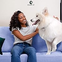 Vista 419 de CHUN YI - Funda elástica para sofá (7 piezas), funda para sofá de 3 plazas con tres respaldos y cojines separados con banda elástica, tela jacquard