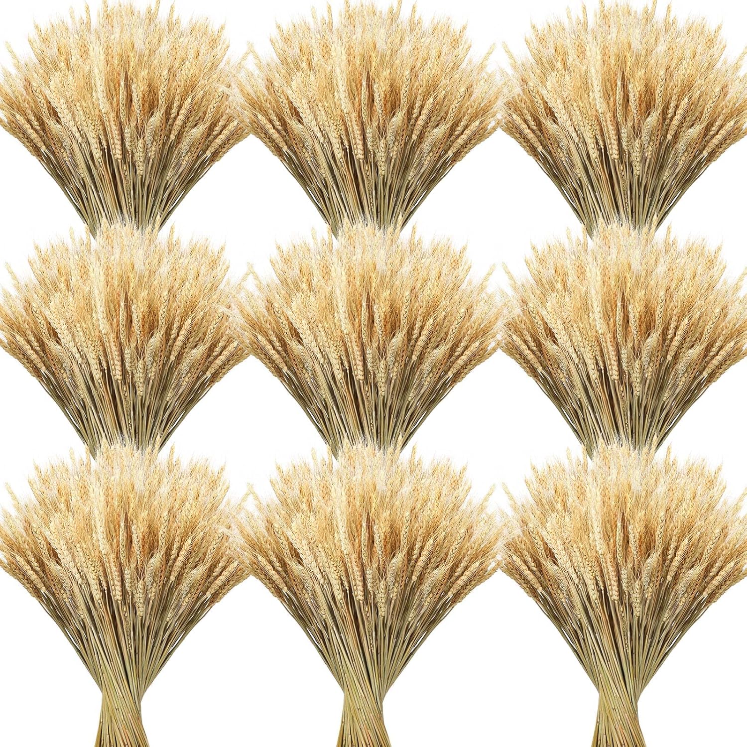 Geosar 600 Stems Dried Wheat Stalks for Decor Natural Wheat Grass Sheaves Bundle Farmhouse Artificial Flowers Arrangement for DIY Wedding Table Home Centerpieces Party Decorative (16 Inch) 600 16 Inch