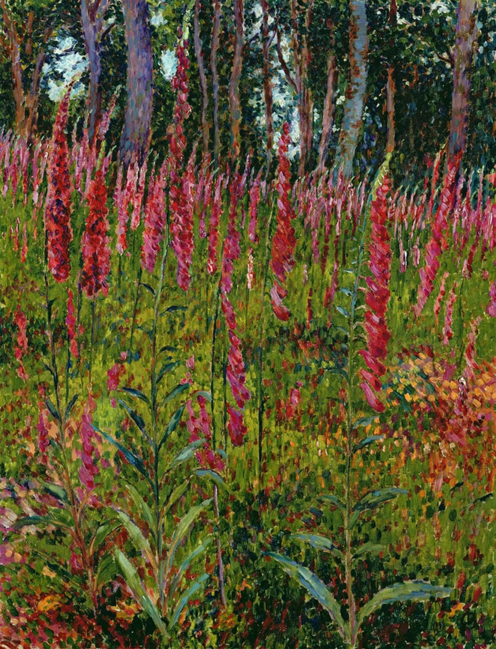 SERENDIPITP Retro Picture Poster Wall Art Pictures Painting Foxgloves by Georges Lacombe Wall Art Canvas Print for Wall Decor 60x90cm