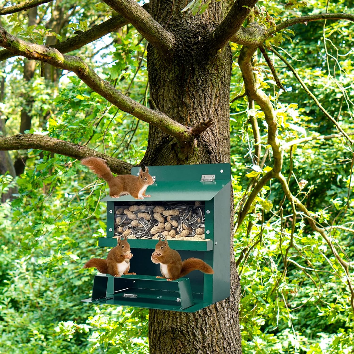 Squirrel Feeder 9×8×6in Metal Squirrel House with Clear Window & Stand Foldable Heavy Duty Box for Corn, Nut, Peanut, Outside Feeders for Outside