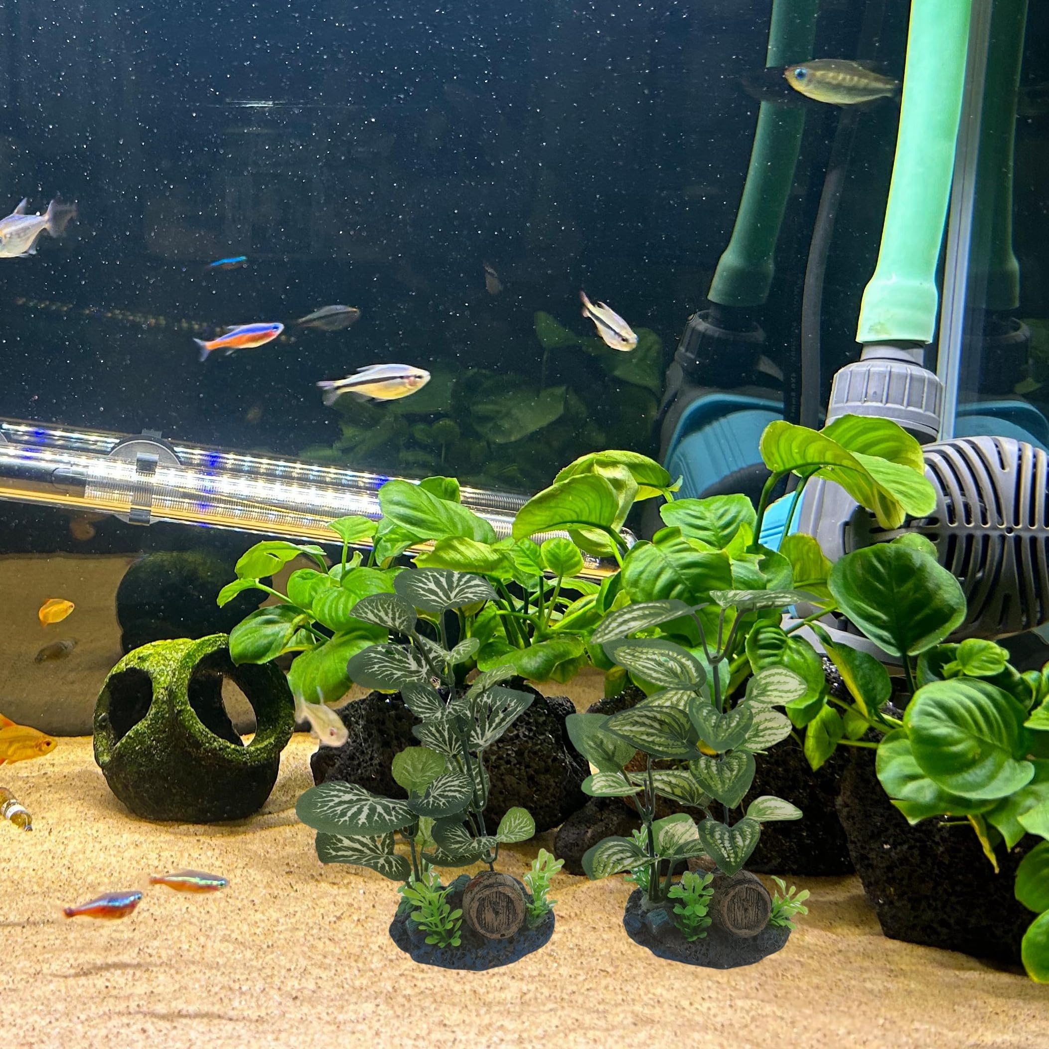 M2cbridge Artificial Fish Tank Plants Silk Aquarium Plastic Plant Aquatic Water Grass Foreground Decor(2PCS Grasses) - Image 4