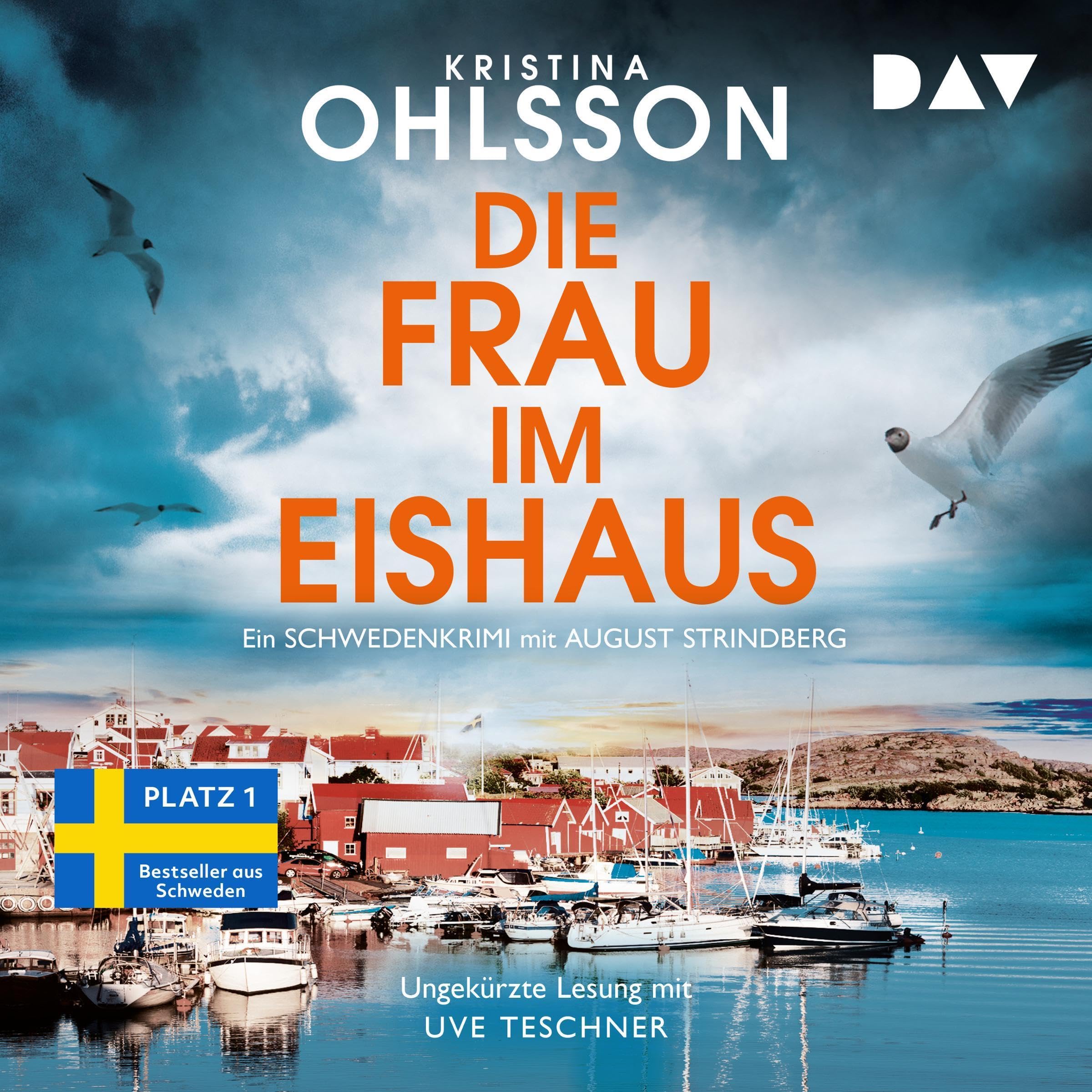 Cover art for Die Frau im Eishaus