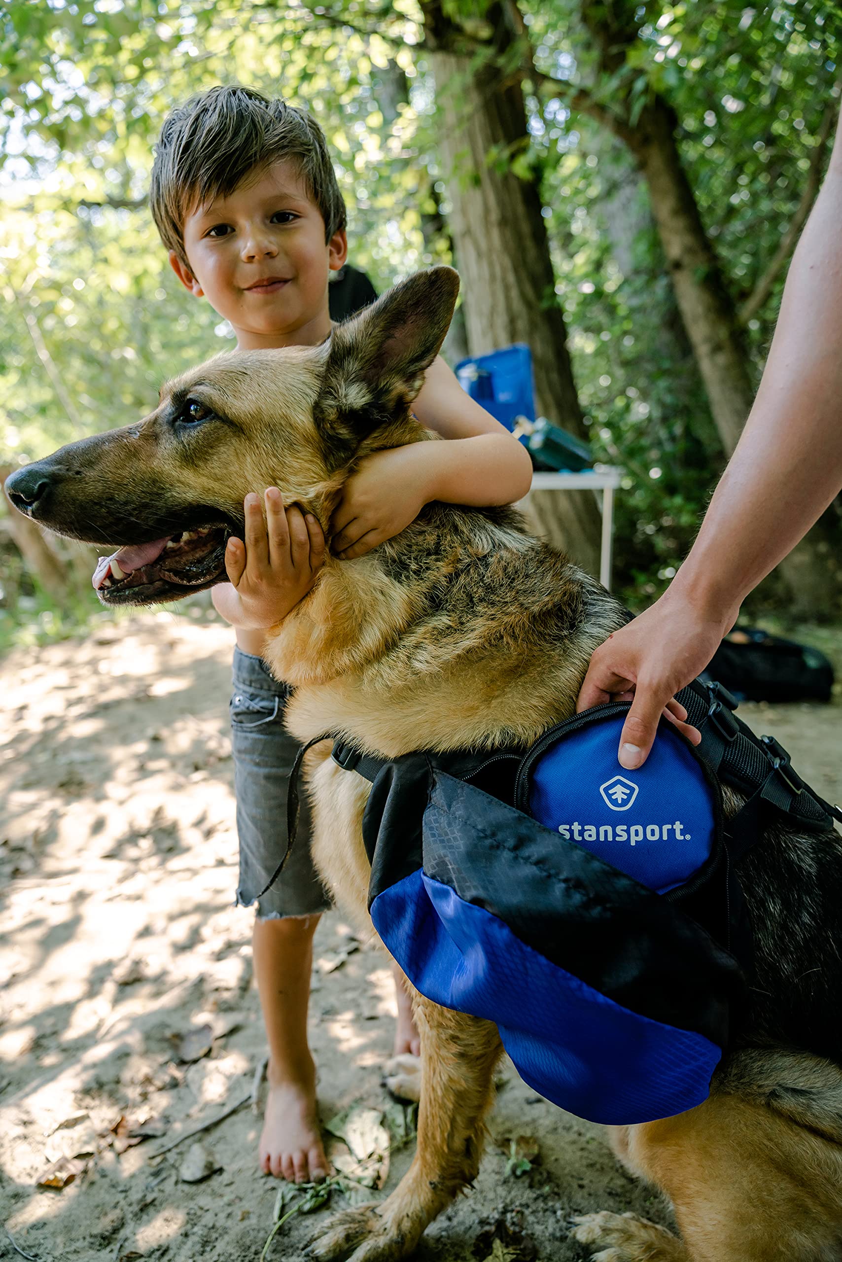 Stansport Gamelle pliable pour chien Bleu