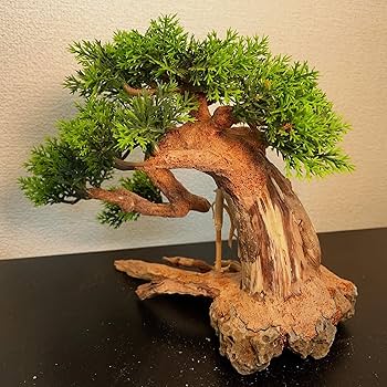 Amazon | 中型溶岩石・水草樹脂付き盆栽流木（水槽専用アート流木