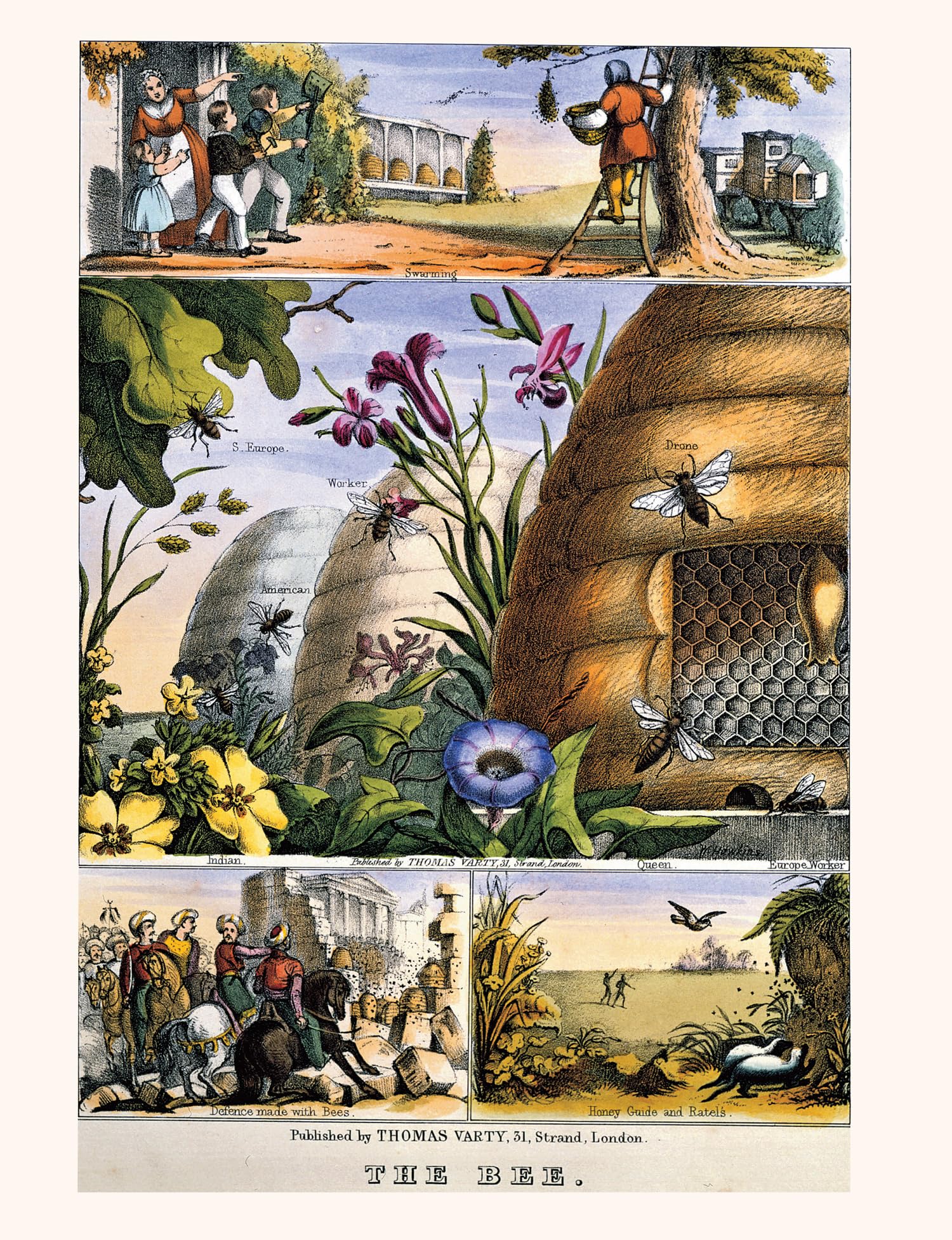 Collins Beekeeper’s Bible: Bees, honey, recipes and other home uses