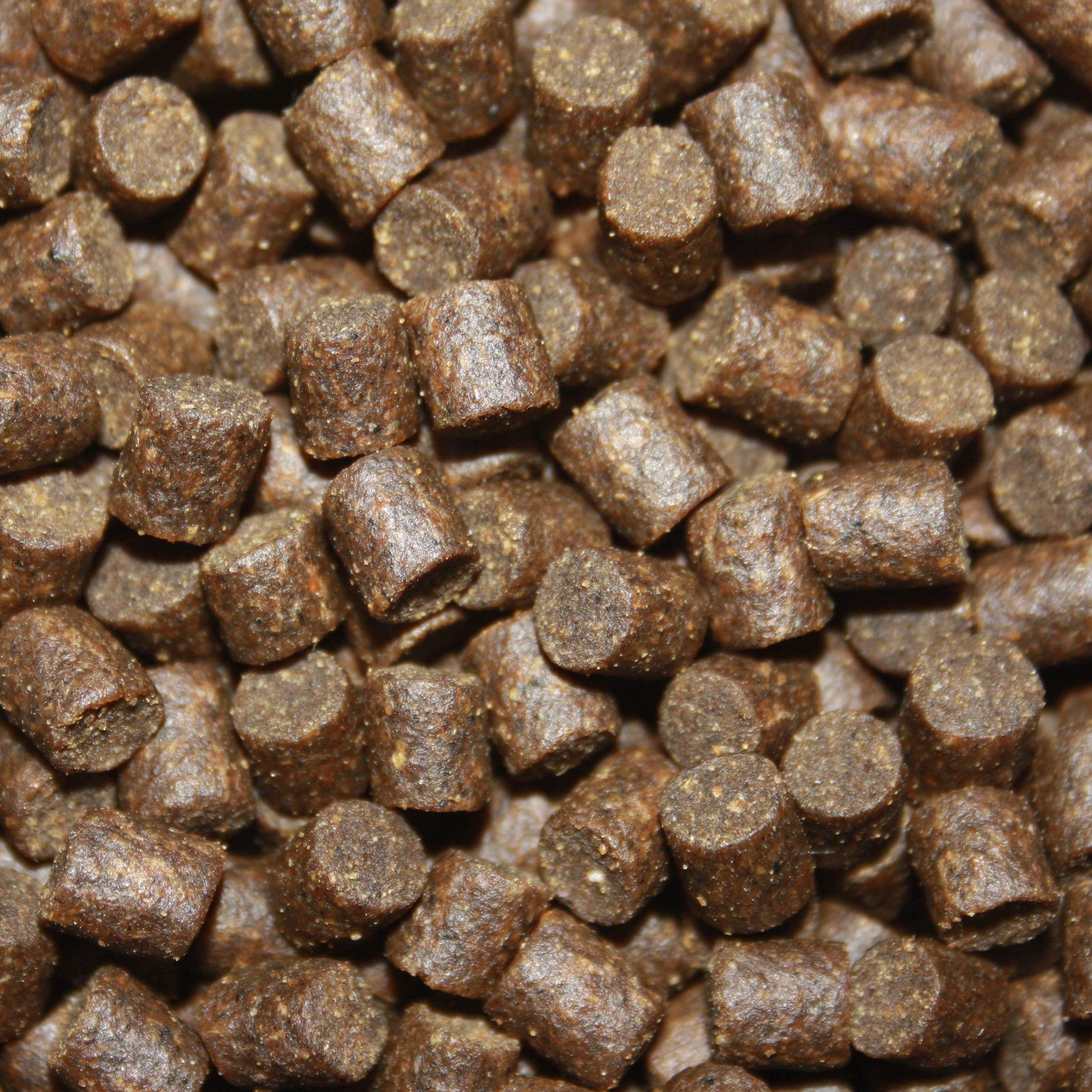 Störfutter, Sinkfutter, Energiefutter Stör, Kraftfutter, sinkendes Aufzuchtfutter für Störe, perfekt für jede Jahreszeit, hochverdaulich, arktische Rohstoffe, Tomodachi Premium Störsinkfutter 6mm 15kg