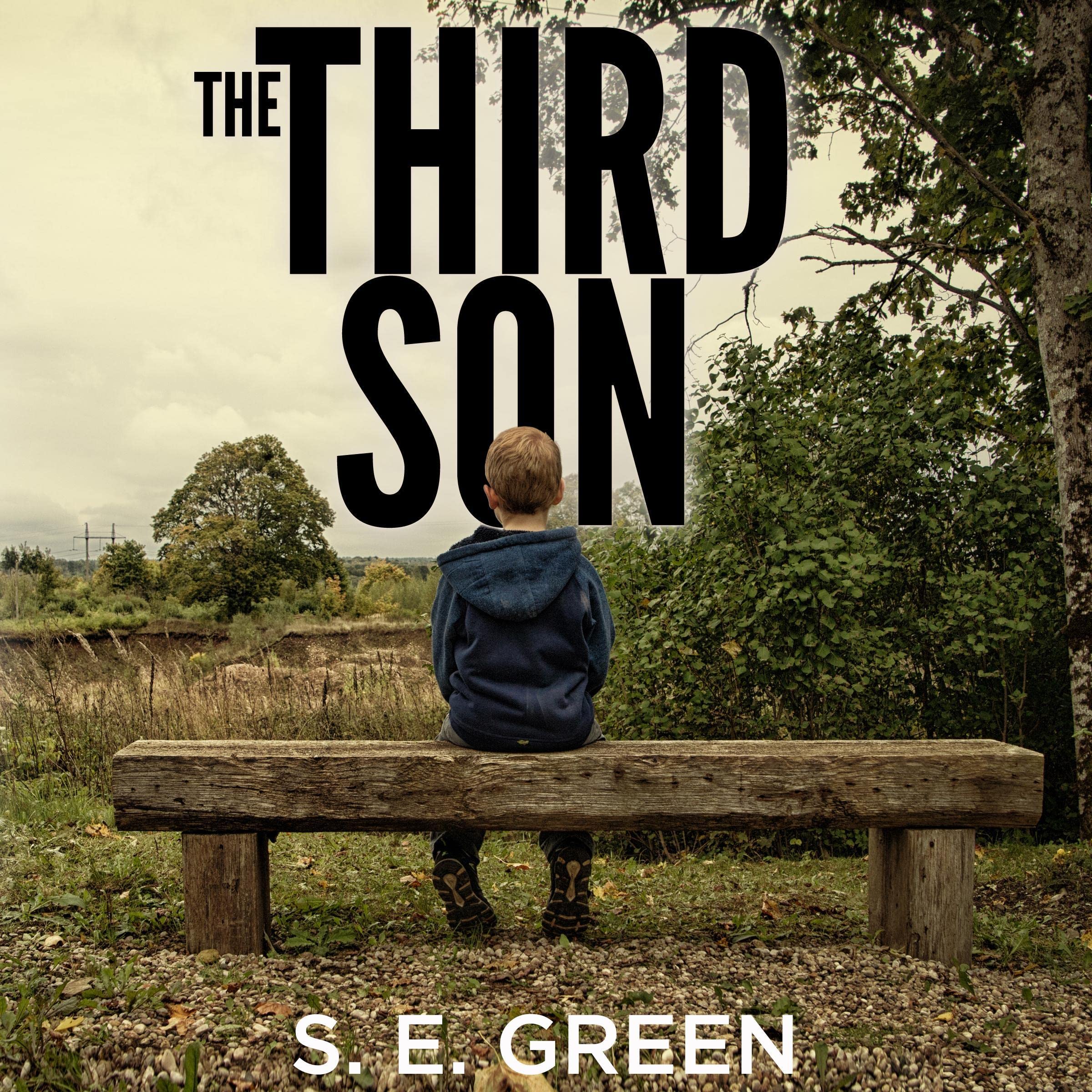 Cover art for The Third Son
