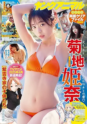 Young Animal 2025-06 (ヤングアニマル 2025年06号)