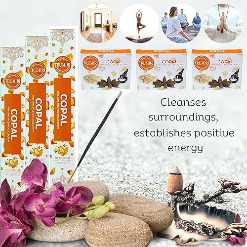 Miniatura 3 de Copal - Varillas de incienso y conos de incienso de reflujo para cascada - 60 varillas de incienso + 30 conos de reflujo - Insents - Conos de