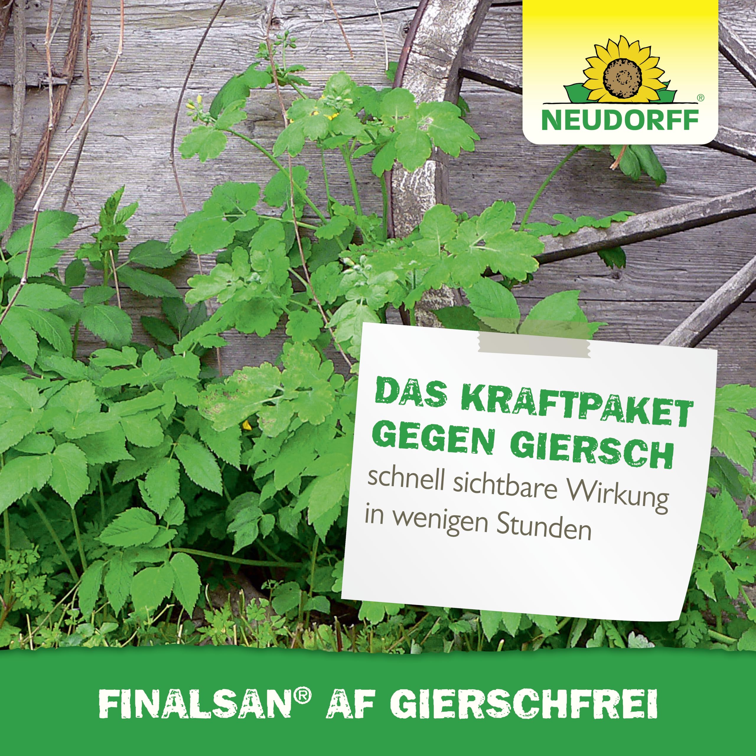 Neudorff Finalsan AF GierschFrei – Schnell wirkender Unkrautvernichter gegen Giersch und Ackerschachtelhalm für 100 m². Wirkt bis in die Wurzel, 3 Liter