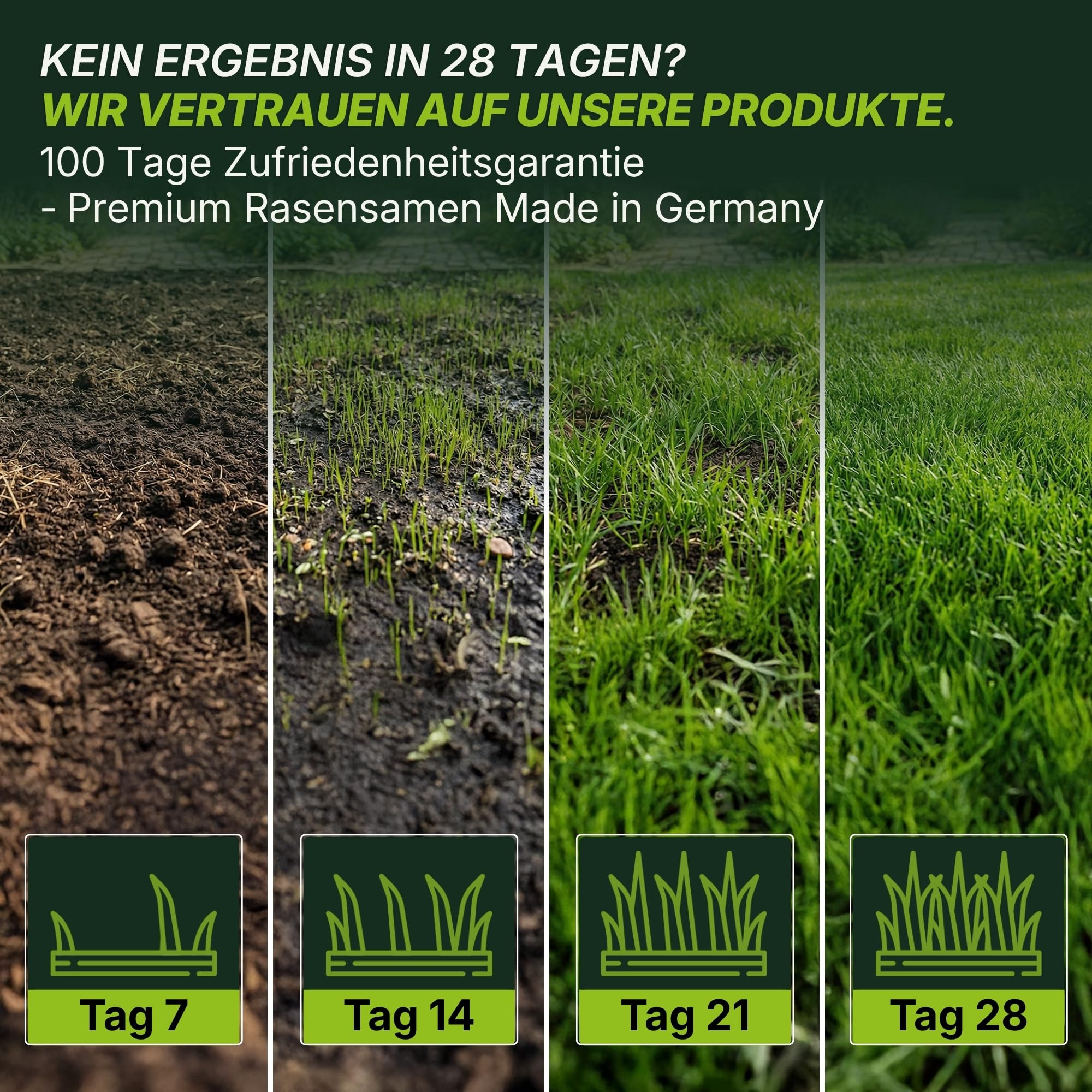 Terrauno - Rasensamen schnellkeimend I Nachsaat Rasen I Extrem hohe Keimrate I 1 kg für 50 m² I Rasensamen trockenresistent zur schnellen Lückenschließung I Rasennachsaat RSM Qualität