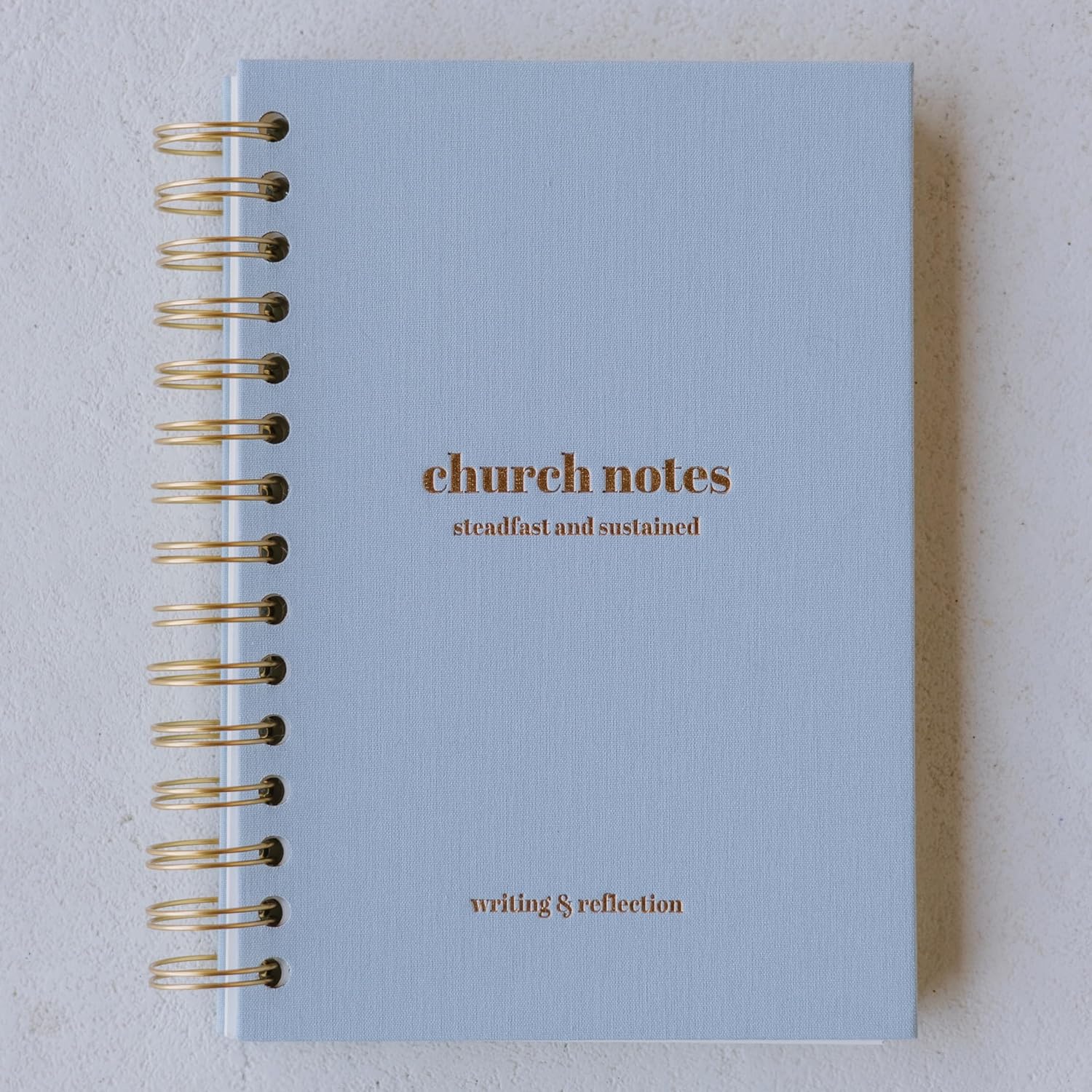 Steadfast & Sustained Church Notes Journal - Organize & Apply Your Sermon Notes - Write Key Points, Bible Verses, Notes, and Application - Aesthetic Christian Sermon Notebook for Women & Men (Light Blue, Gold)