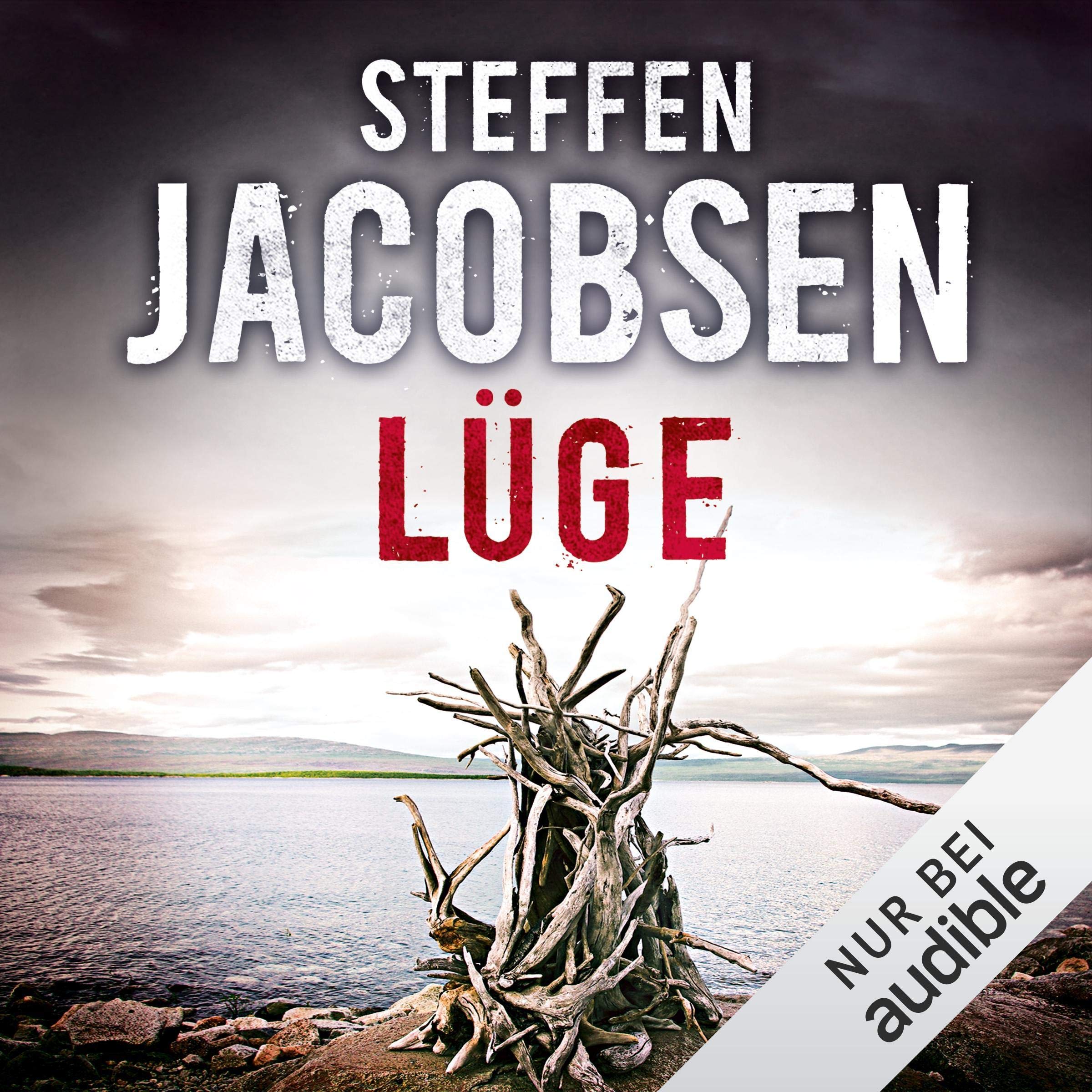 Cover art for Lüge
