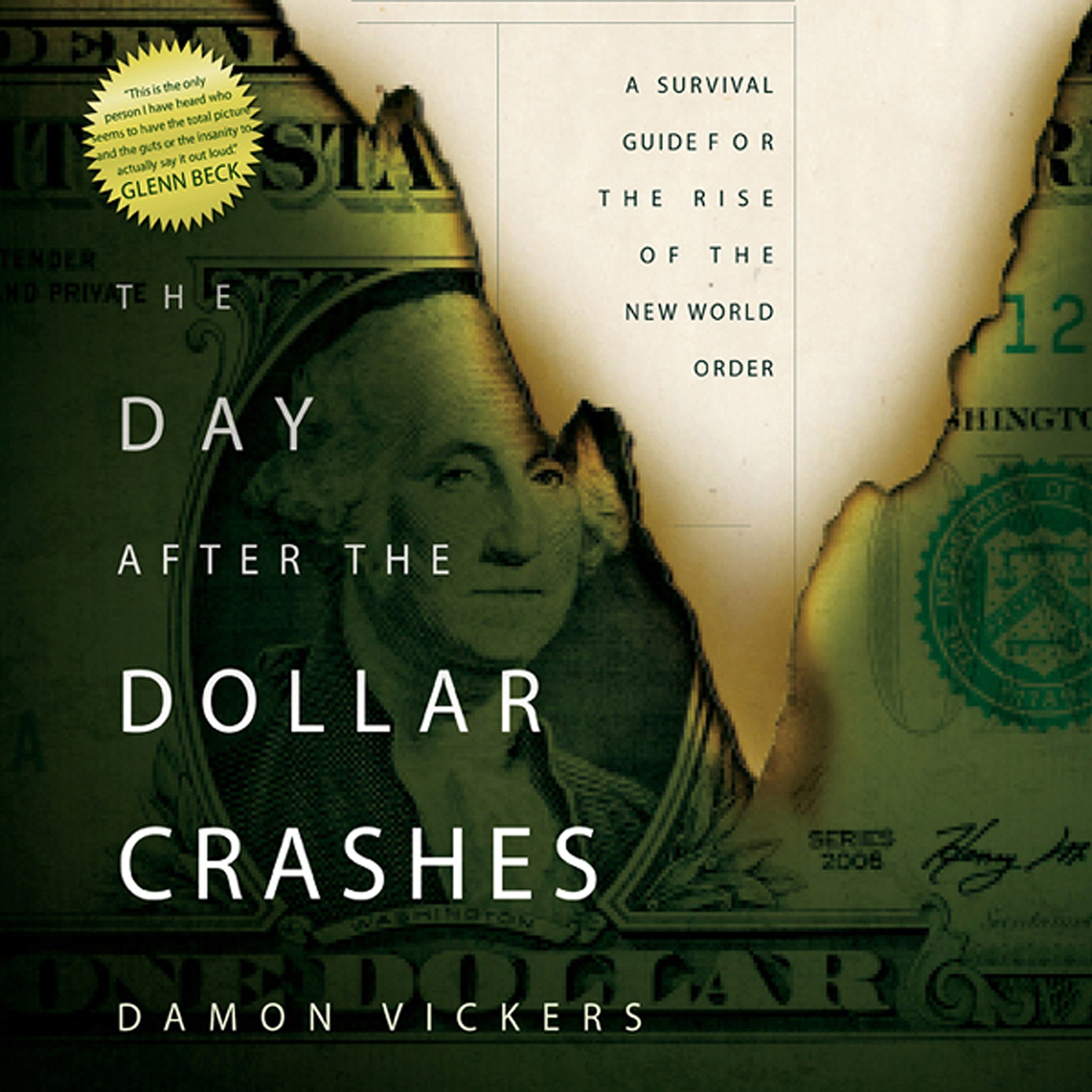 Cover art for The Day After the Dollar Crashes