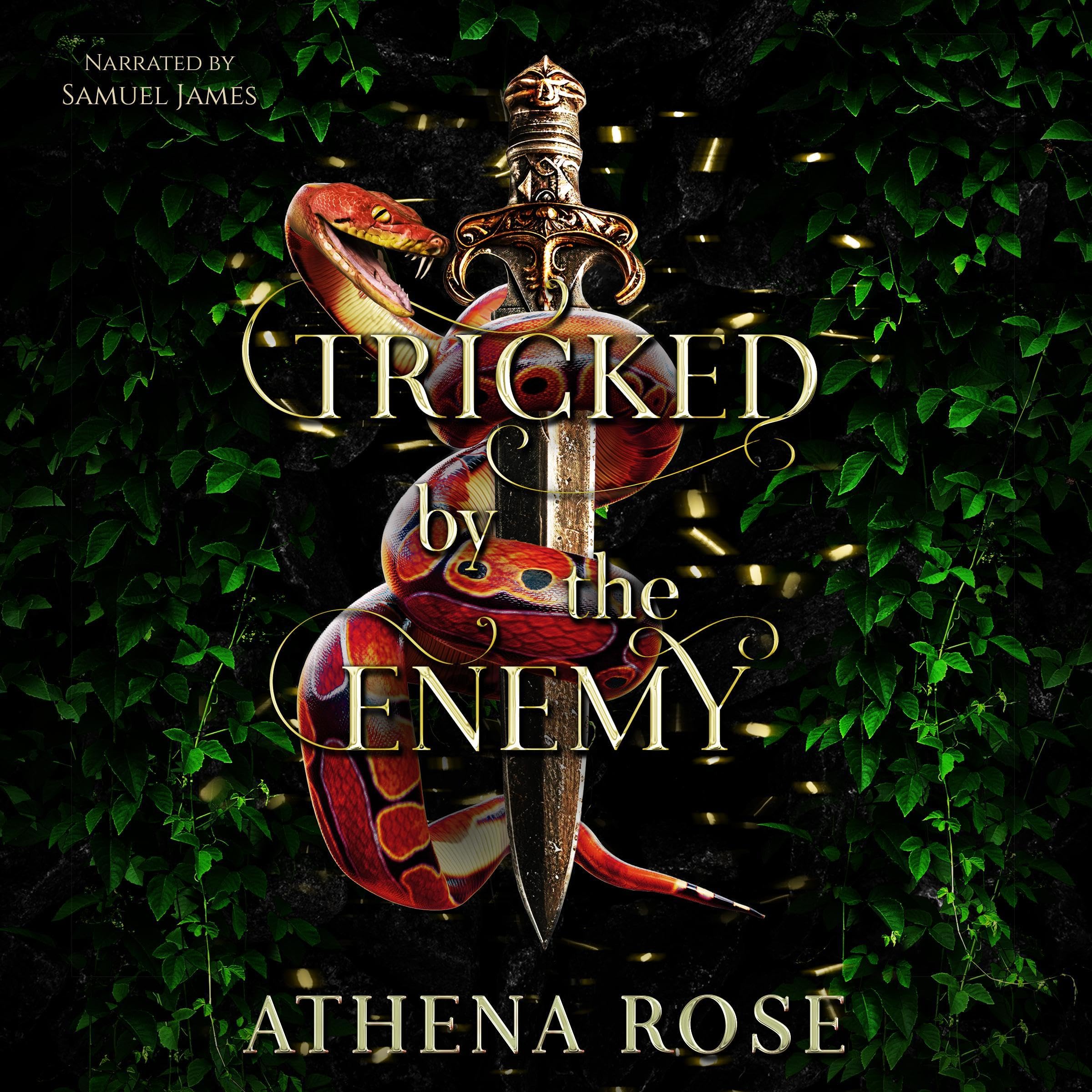 Cover art for Tricked by the Enemy