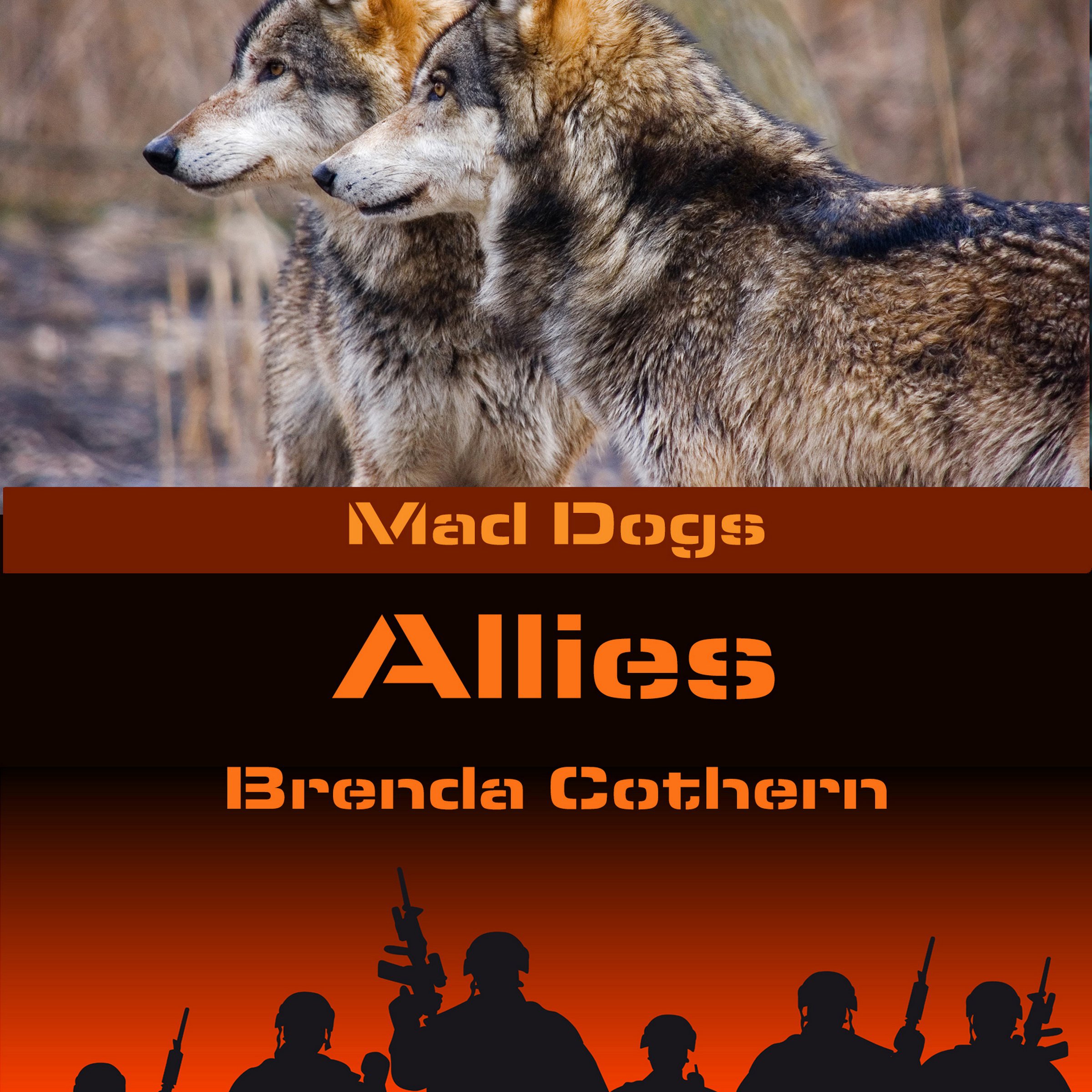 Cover art for Allies