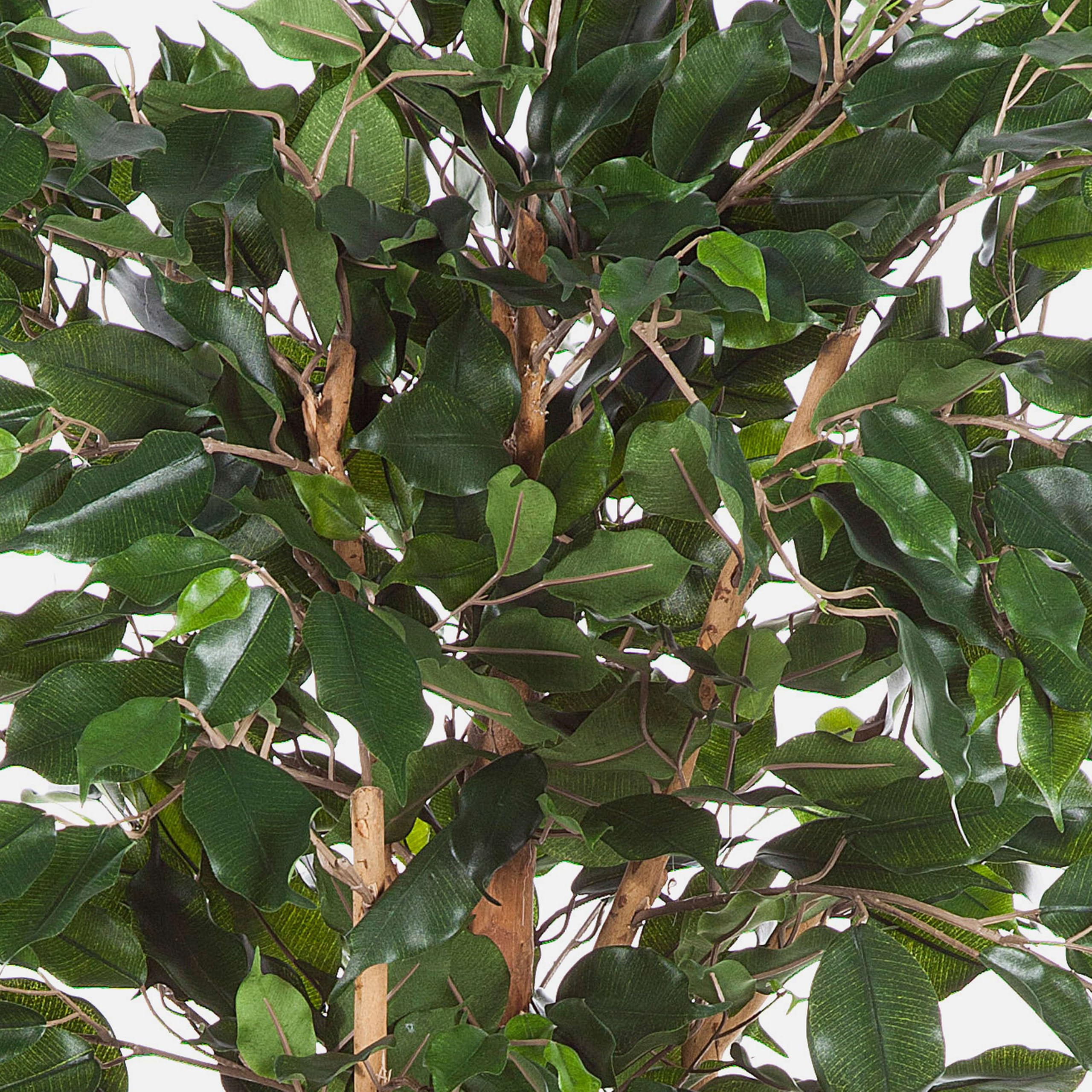 artplants.de Ficus Exotica Artificiale, in Vaso, 880 Foglie, Verde, 150cm - Pianta Tropicale/Ficus Decorativo