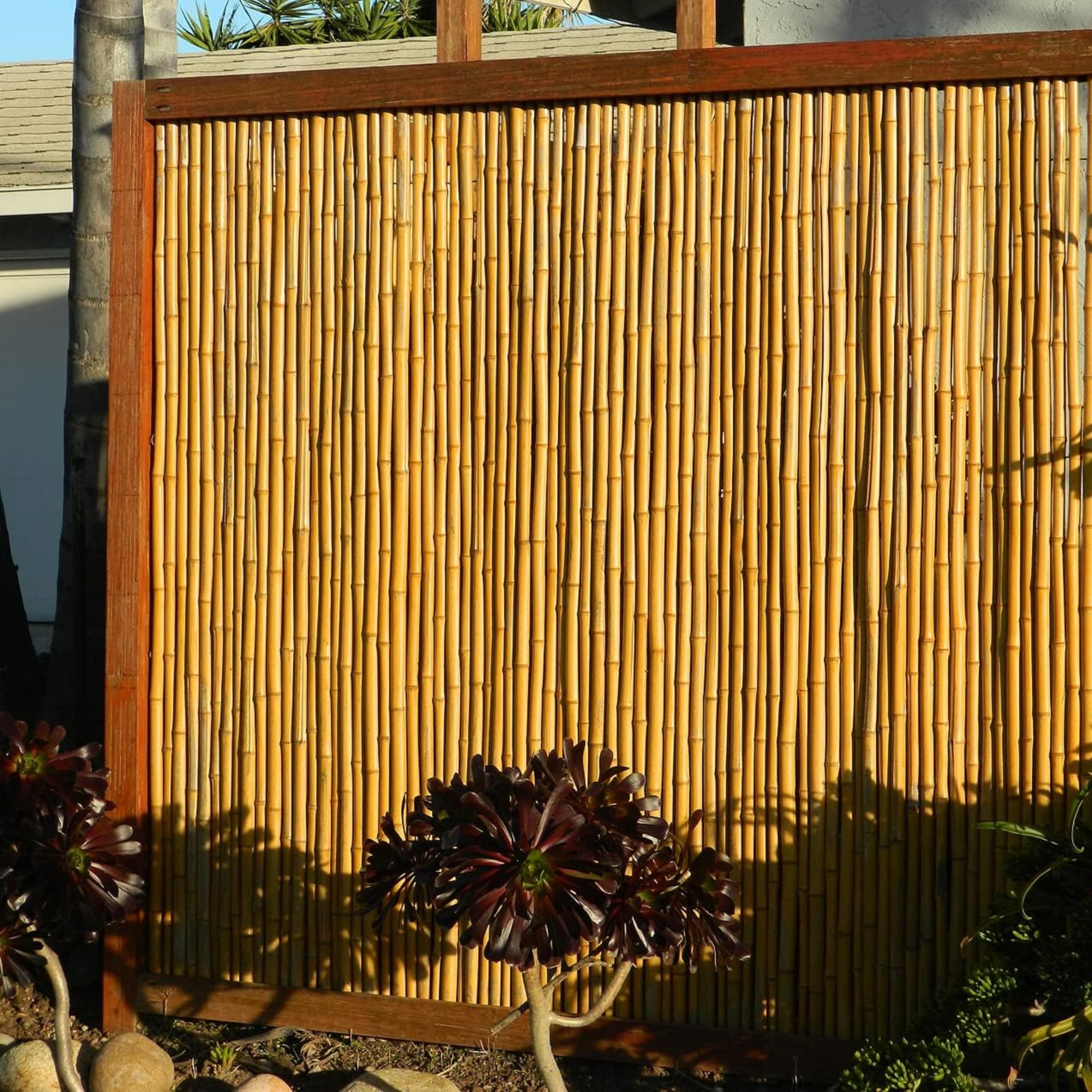 backyard x-scapes natural bamboo fencing decorative rolled fence panel 1 in d x 6 ft h x 8 ft l