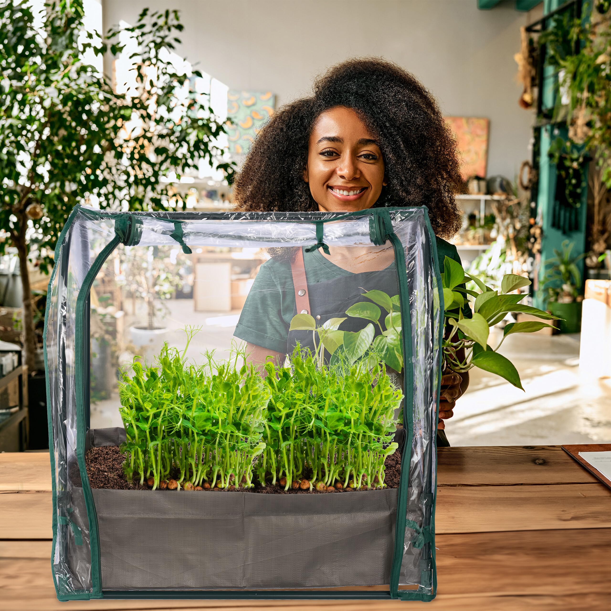 Relaxdays Mini Serre avec Sac de Plantation, HLP : 70x68x50 cm, Film en PVC, Fermeture à glissière, Transparent/Vert